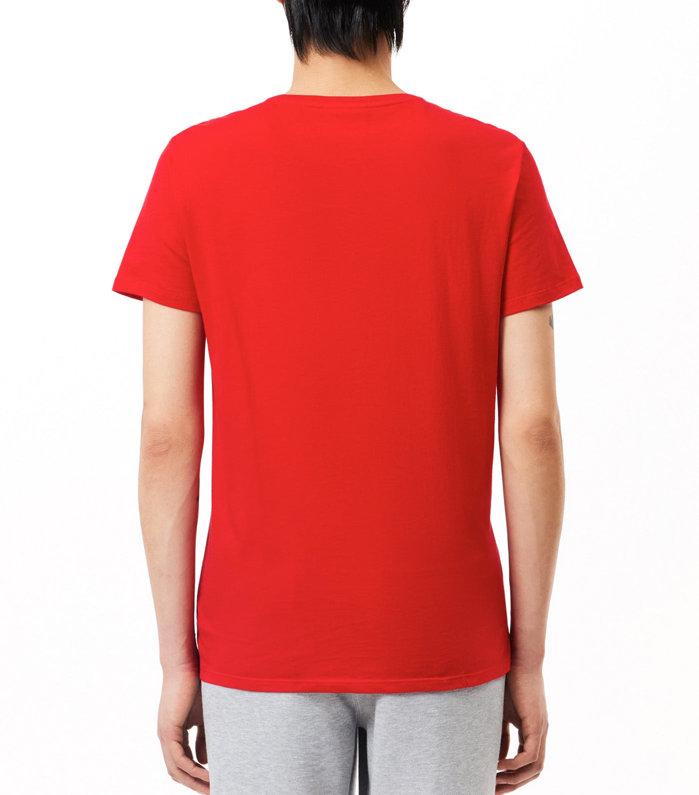 Regular Fit Pima Cotton Jersey T-Shirt Red