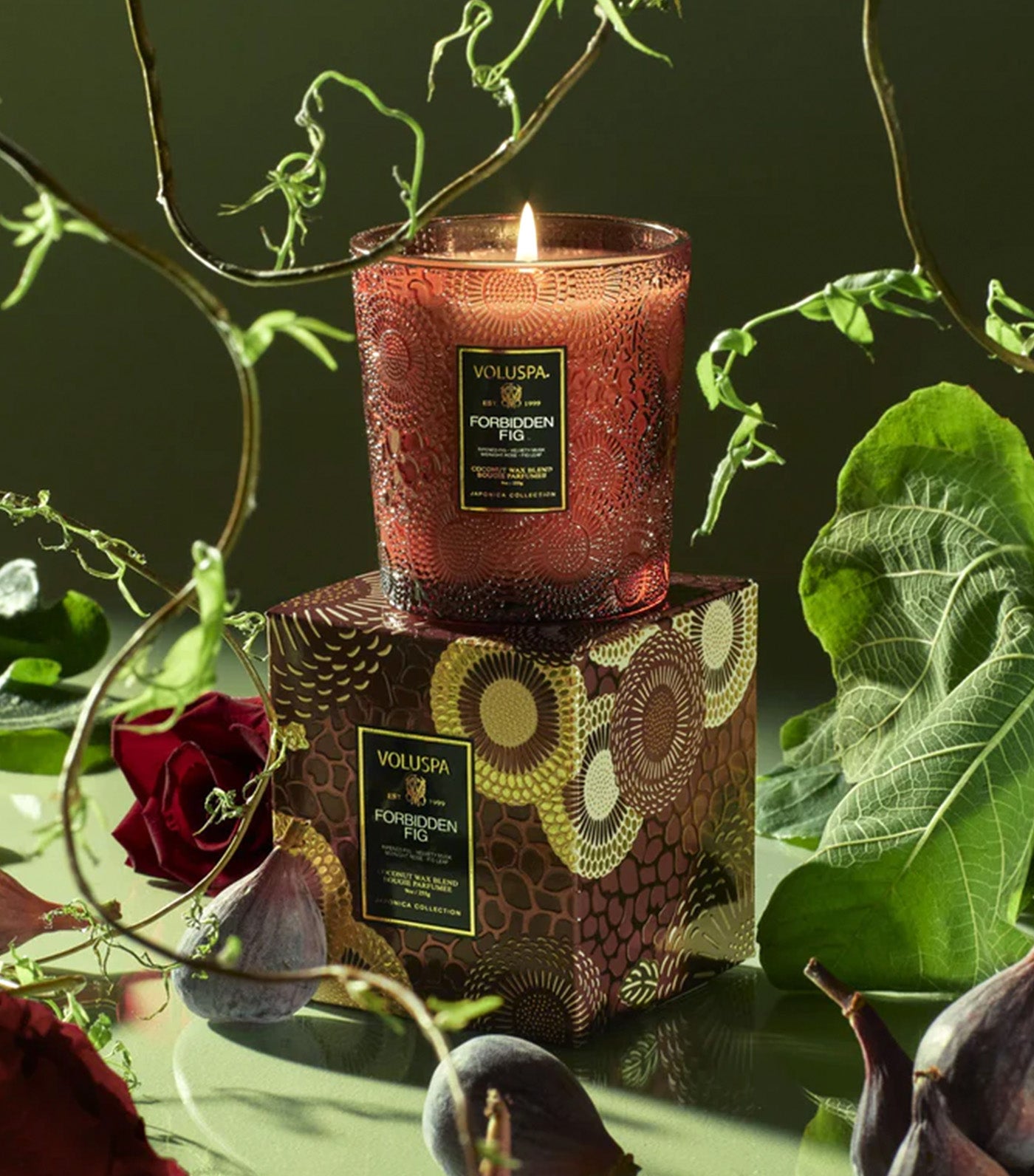 Forbbiden Fig Classic Candle