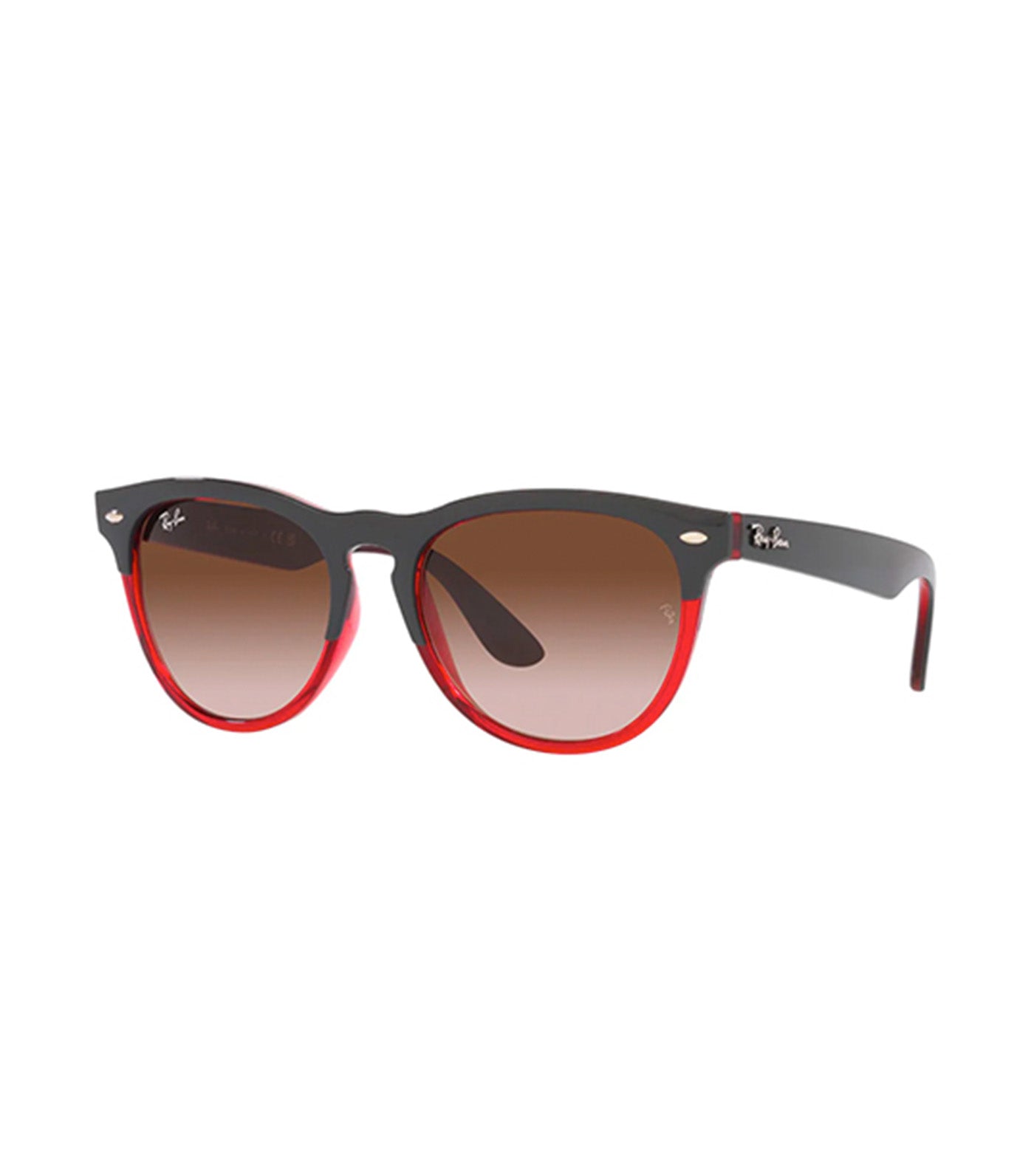 RB4471 Iris Sunglasses Transparent Red and Brown