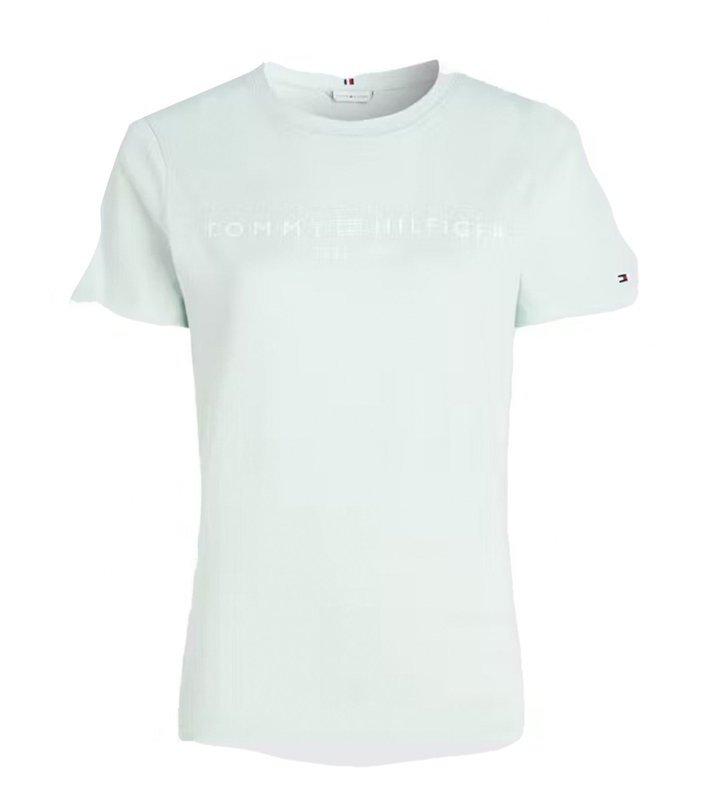 Women's Regular Corporate Logo Crewneck Tee Minty Essence