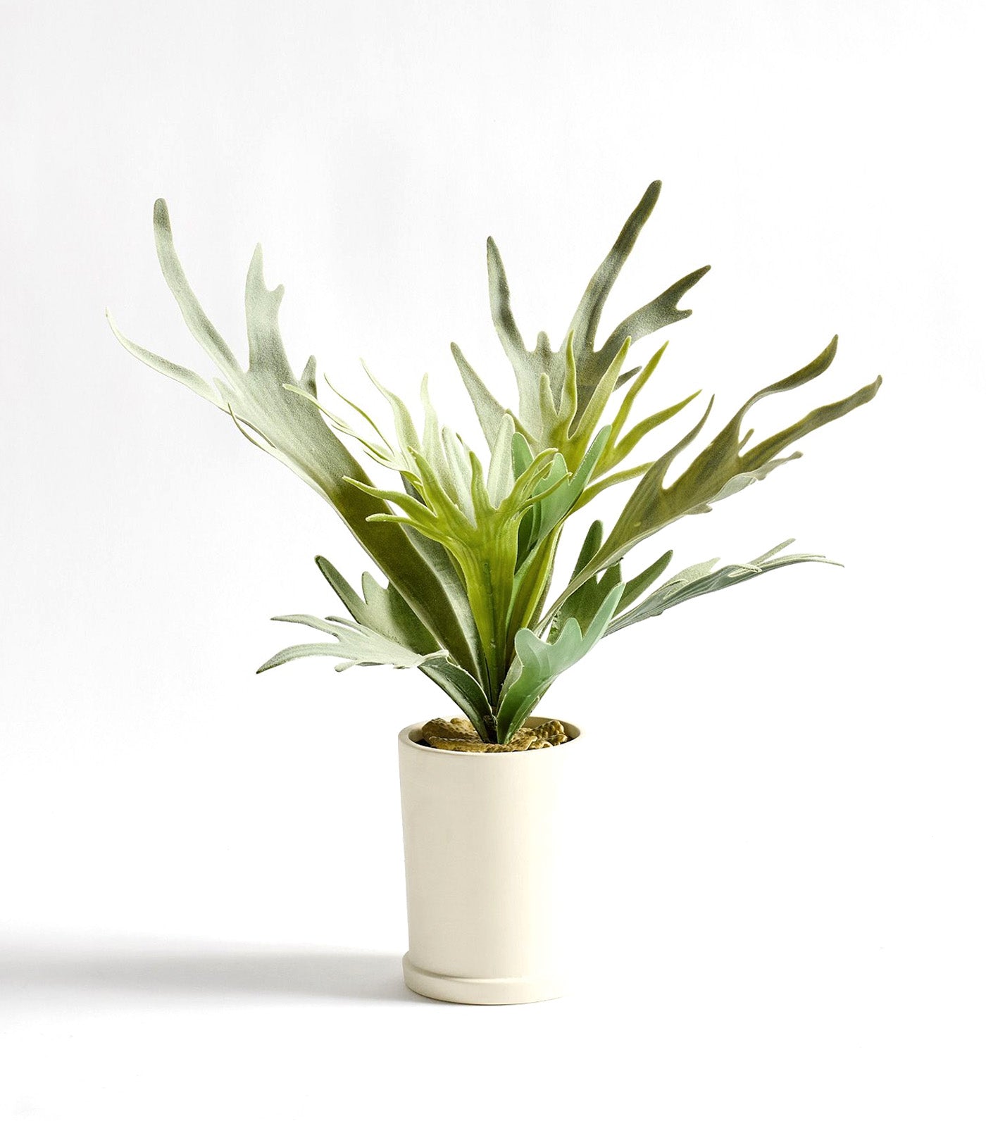 Faux Potted Staghorn Fern Green