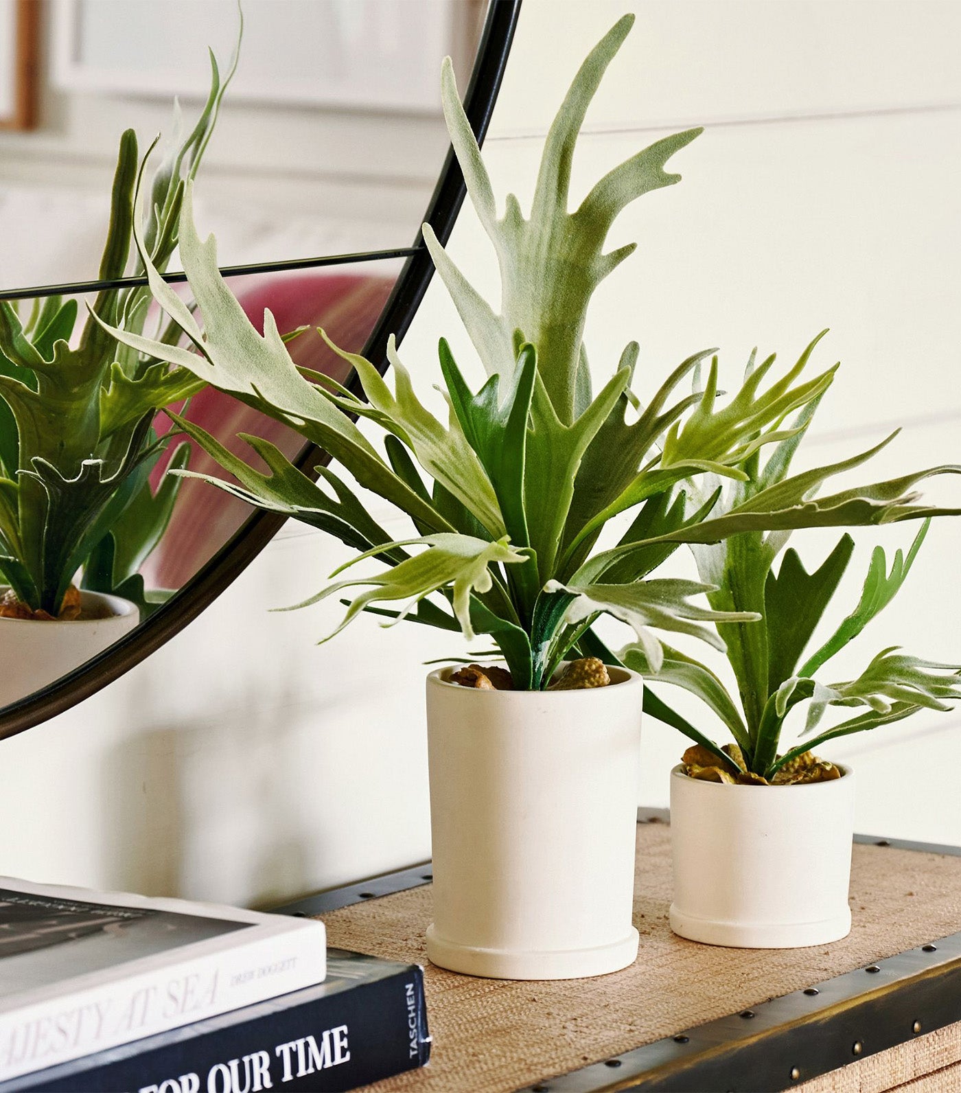 Faux Potted Staghorn Fern Green