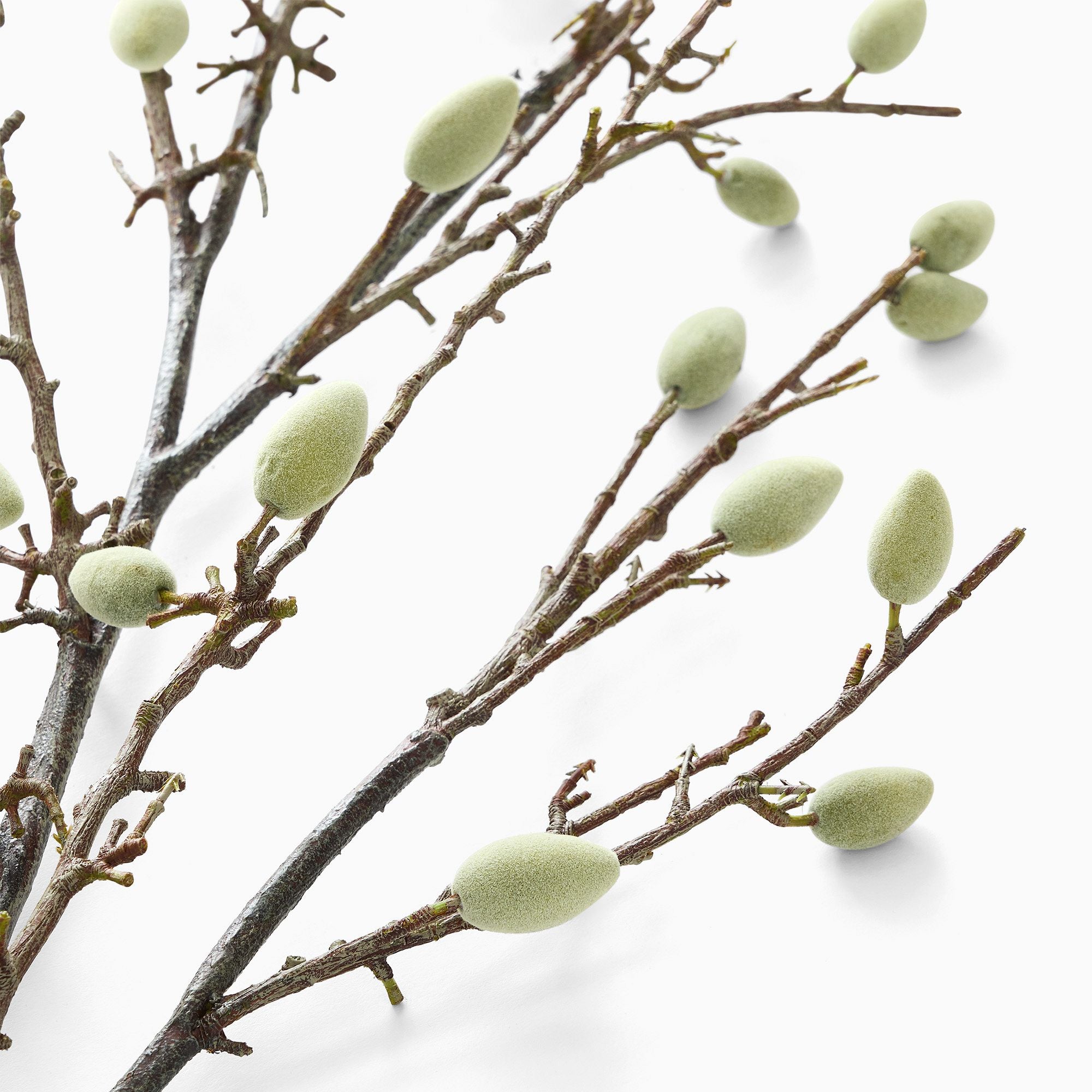 Faux Almond Branch