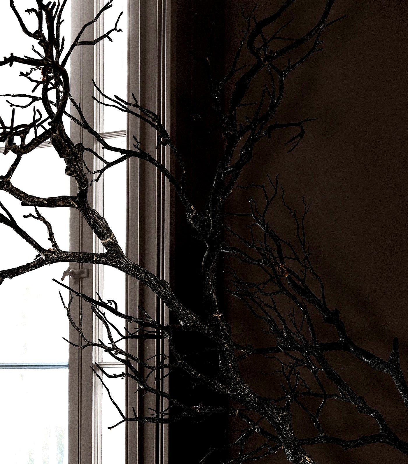 Faux Spooky Branch