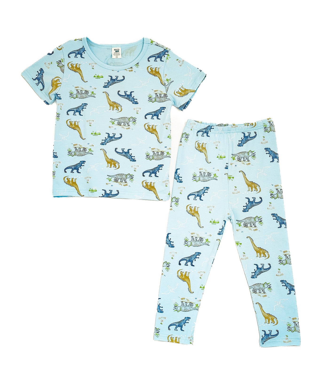 Boys Lounge Wear Collection Tee and Pants Dino Print