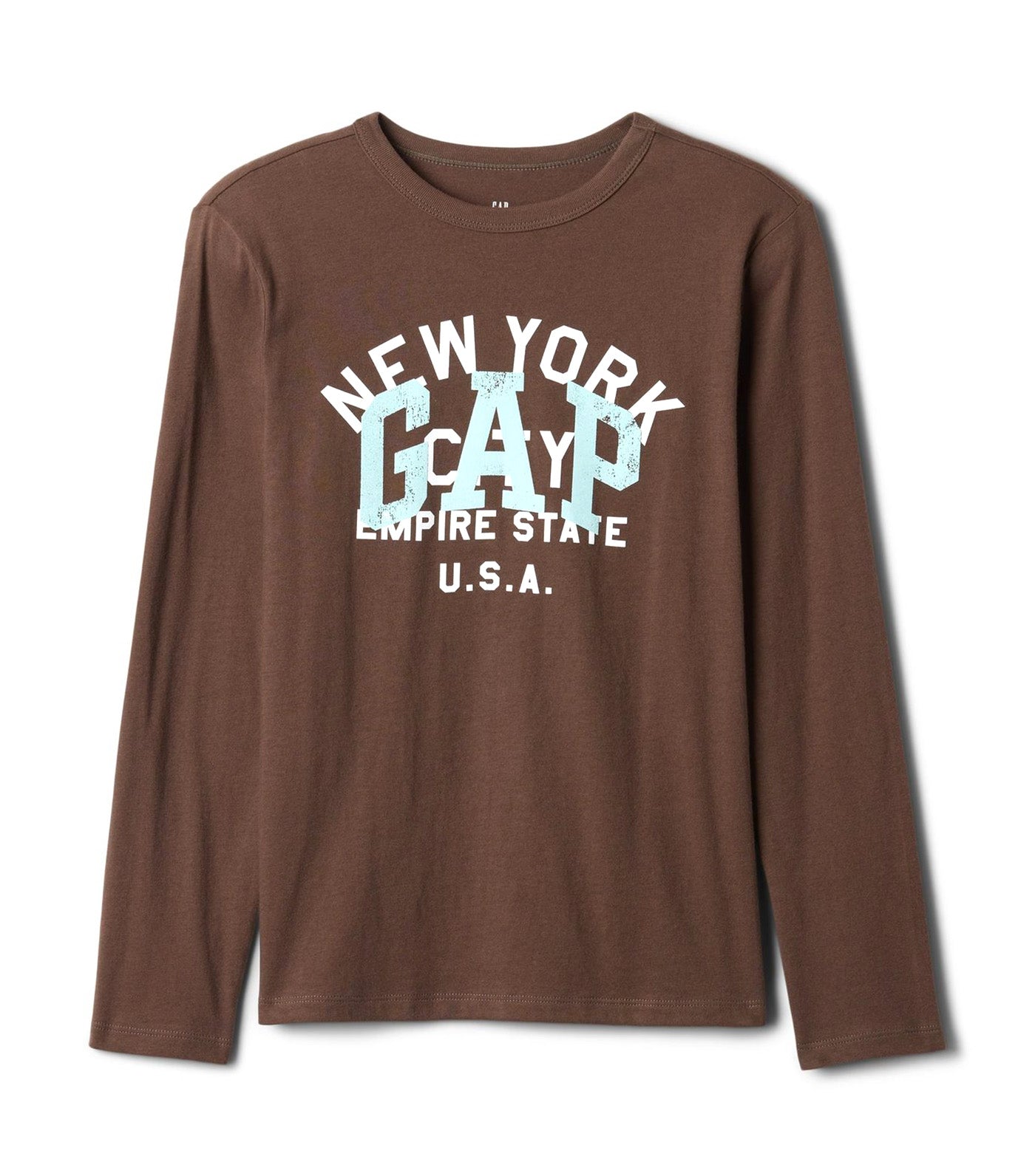 Gap Logo T-Shirt Woodsy Brown