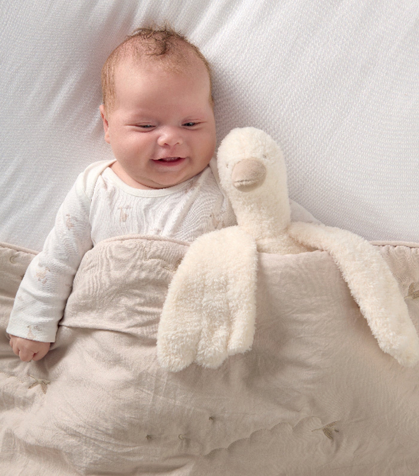 Soft Toy
