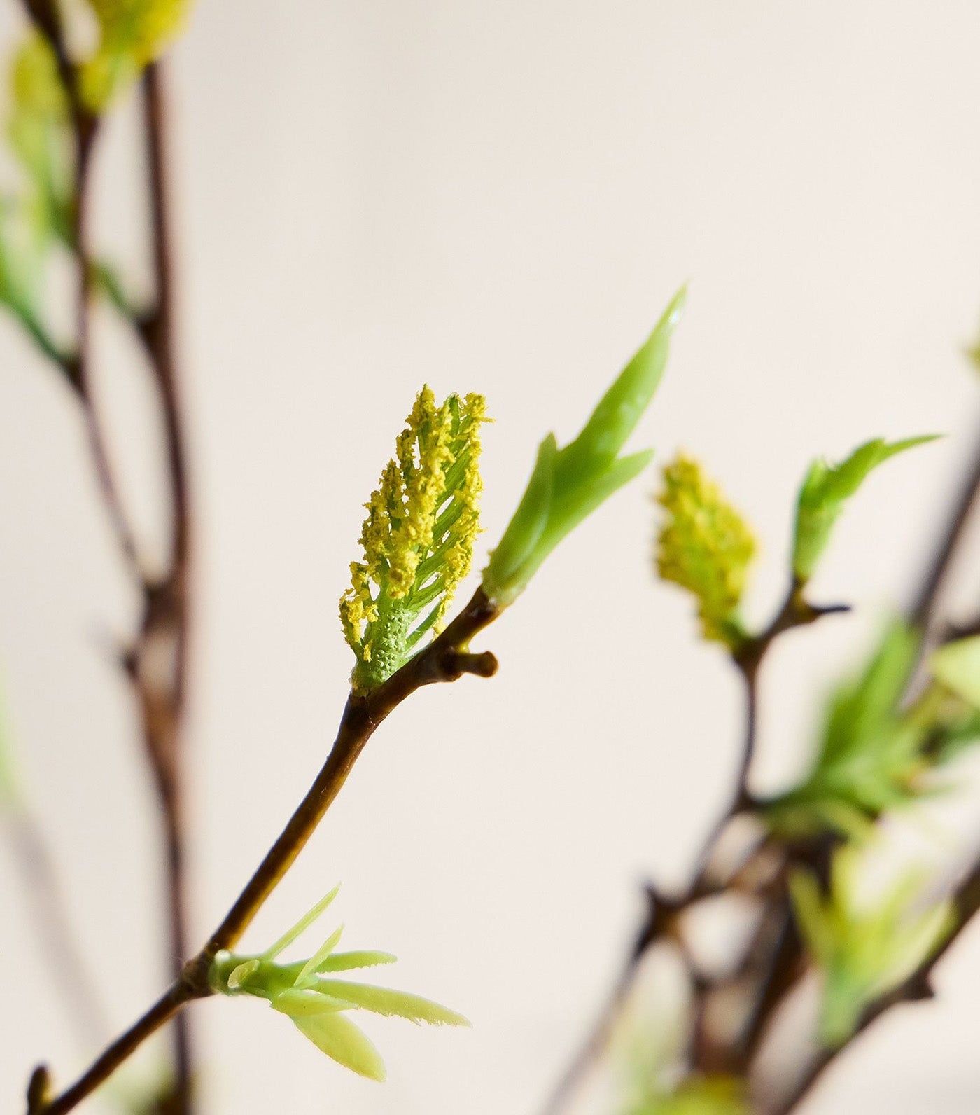 Faux Green Stem