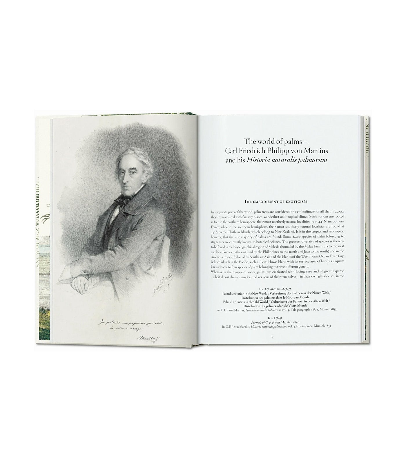 Martius The Book of Palms 40th Ed.