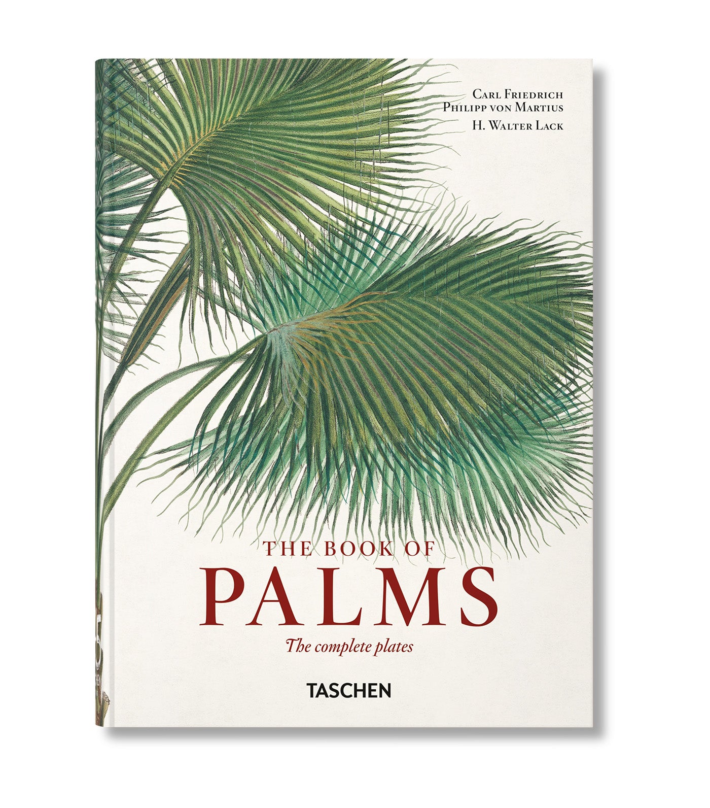 Martius The Book of Palms 40th Ed.