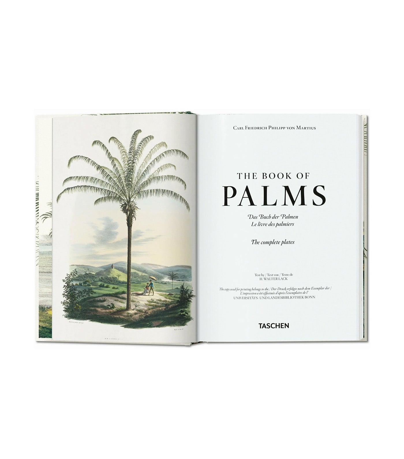 Martius The Book of Palms 40th Ed.