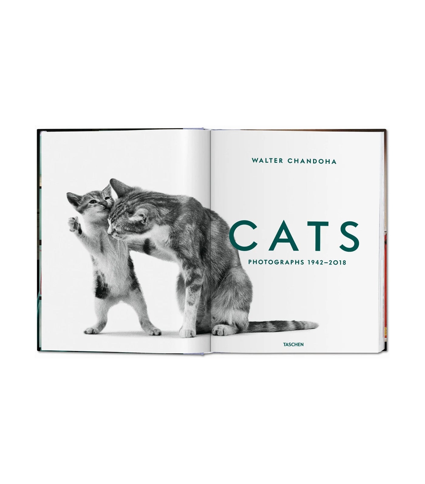 Walter Chandoha. Cats. Photographs 1942-2018