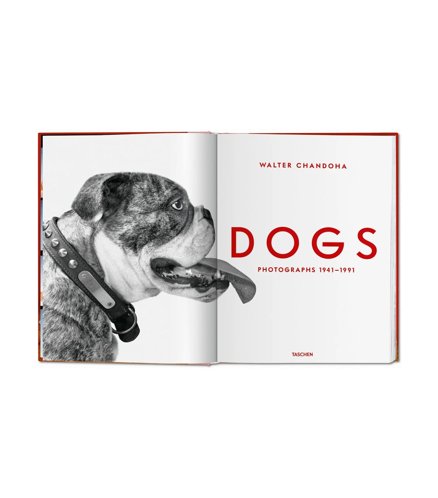 Walter Chandoha. Dogs. Photographs 1941-1991