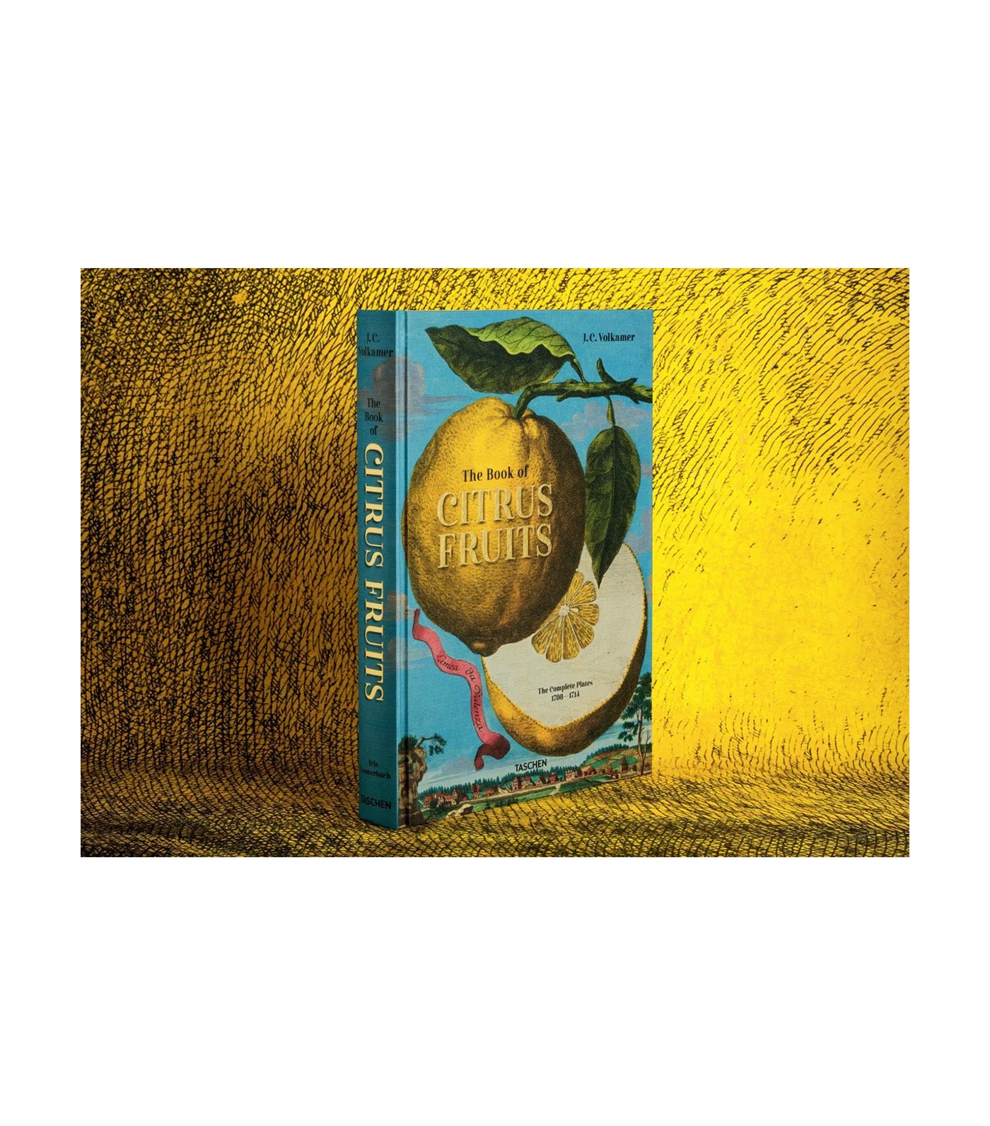 J. C. Volkamer, The Book of Citrus Fruits