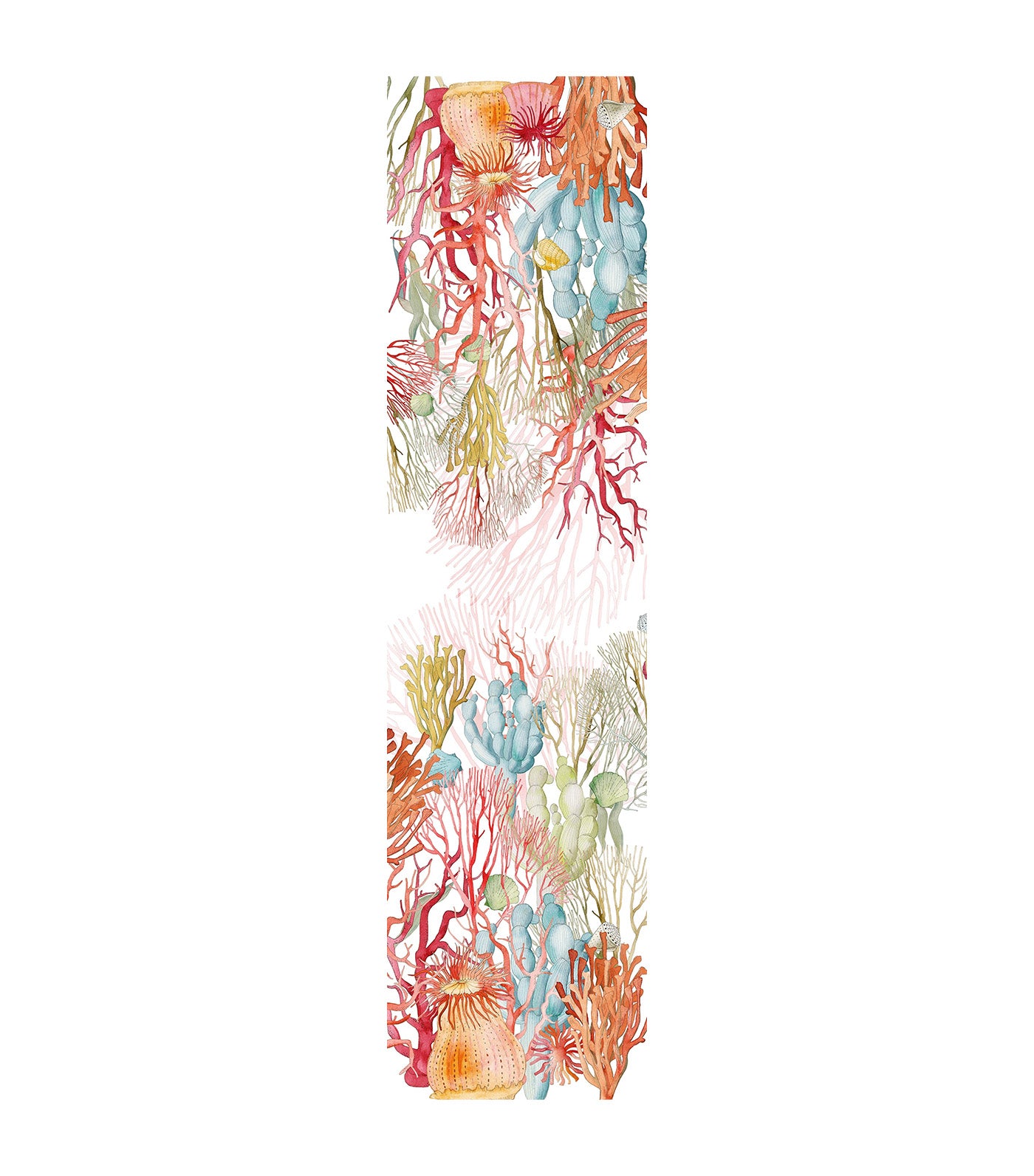 Corals Premium Linen Collection