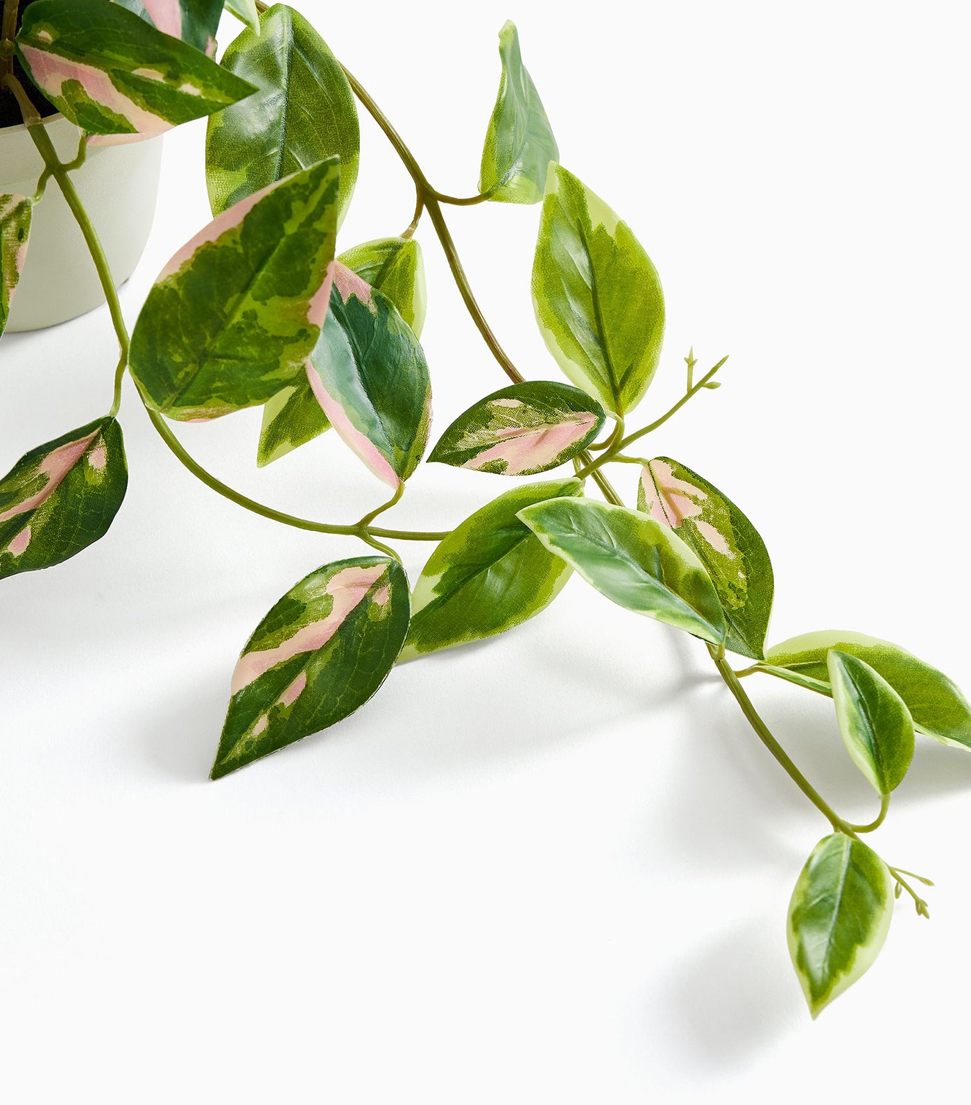 Faux Potted Hoya Plant