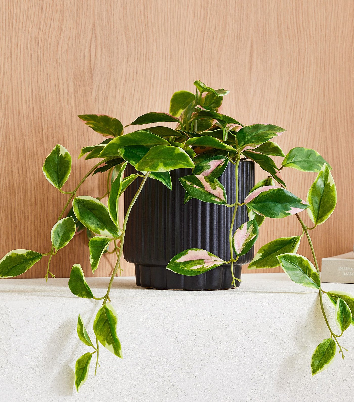 Faux Potted Hoya Plant