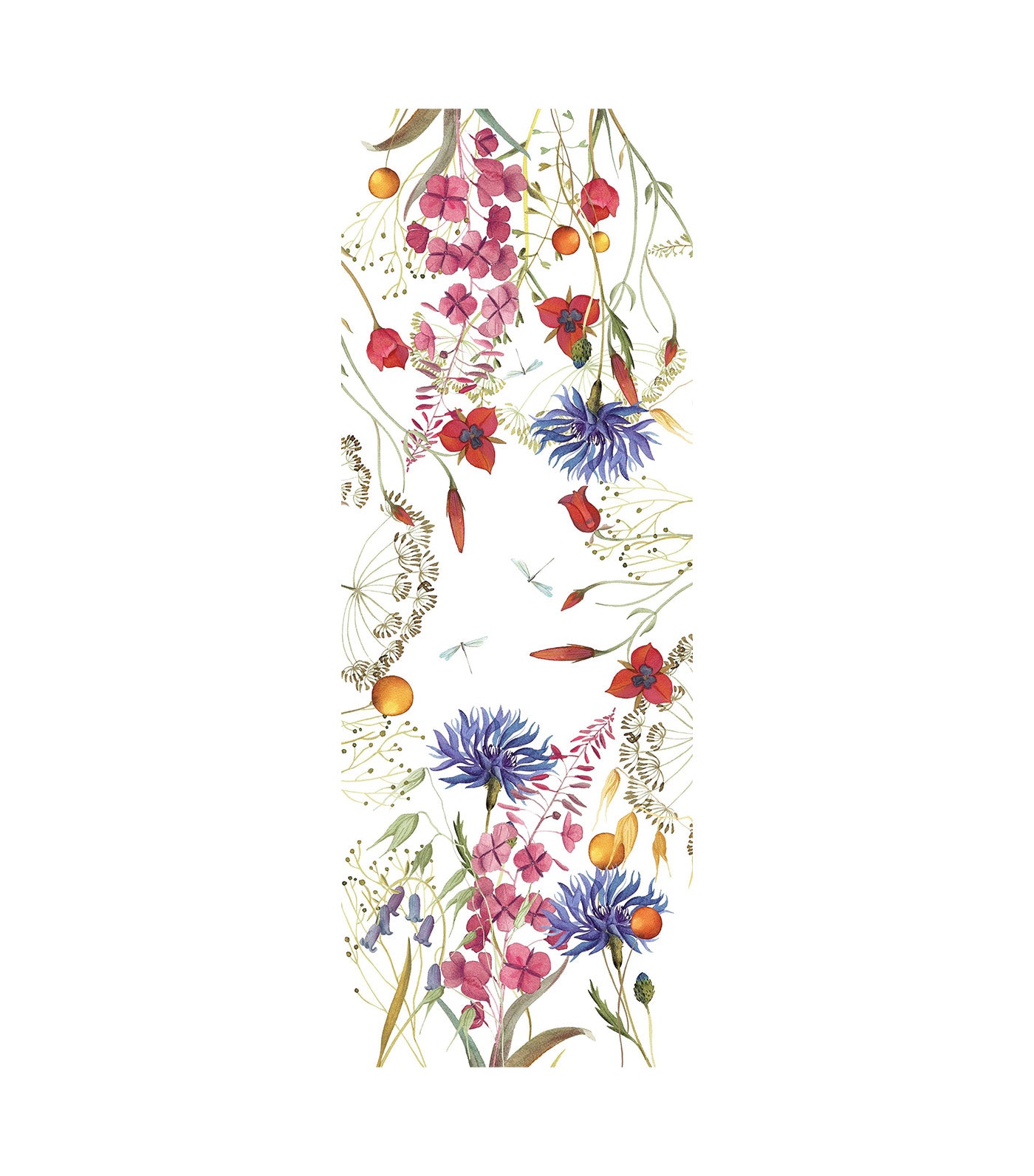 Fiordaliso Collection