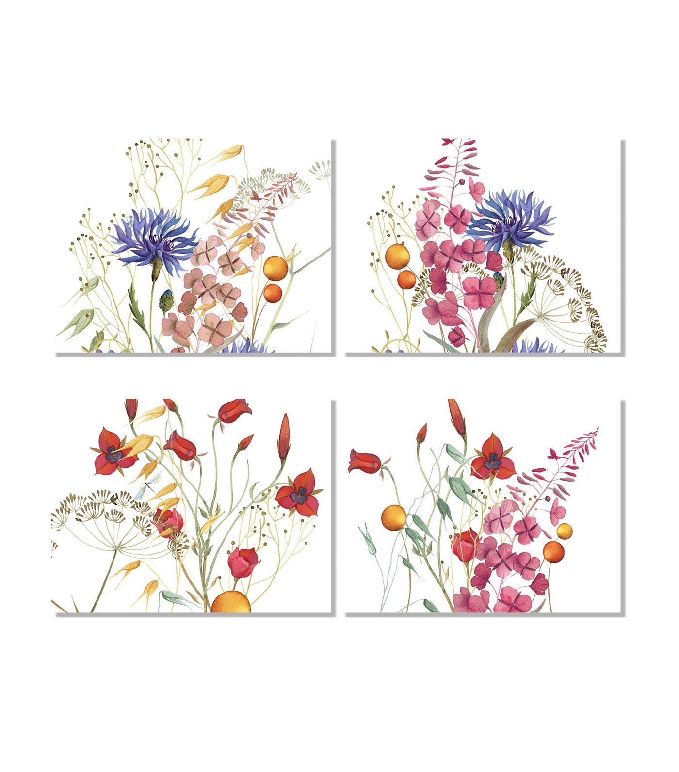 Fiordaliso Collection