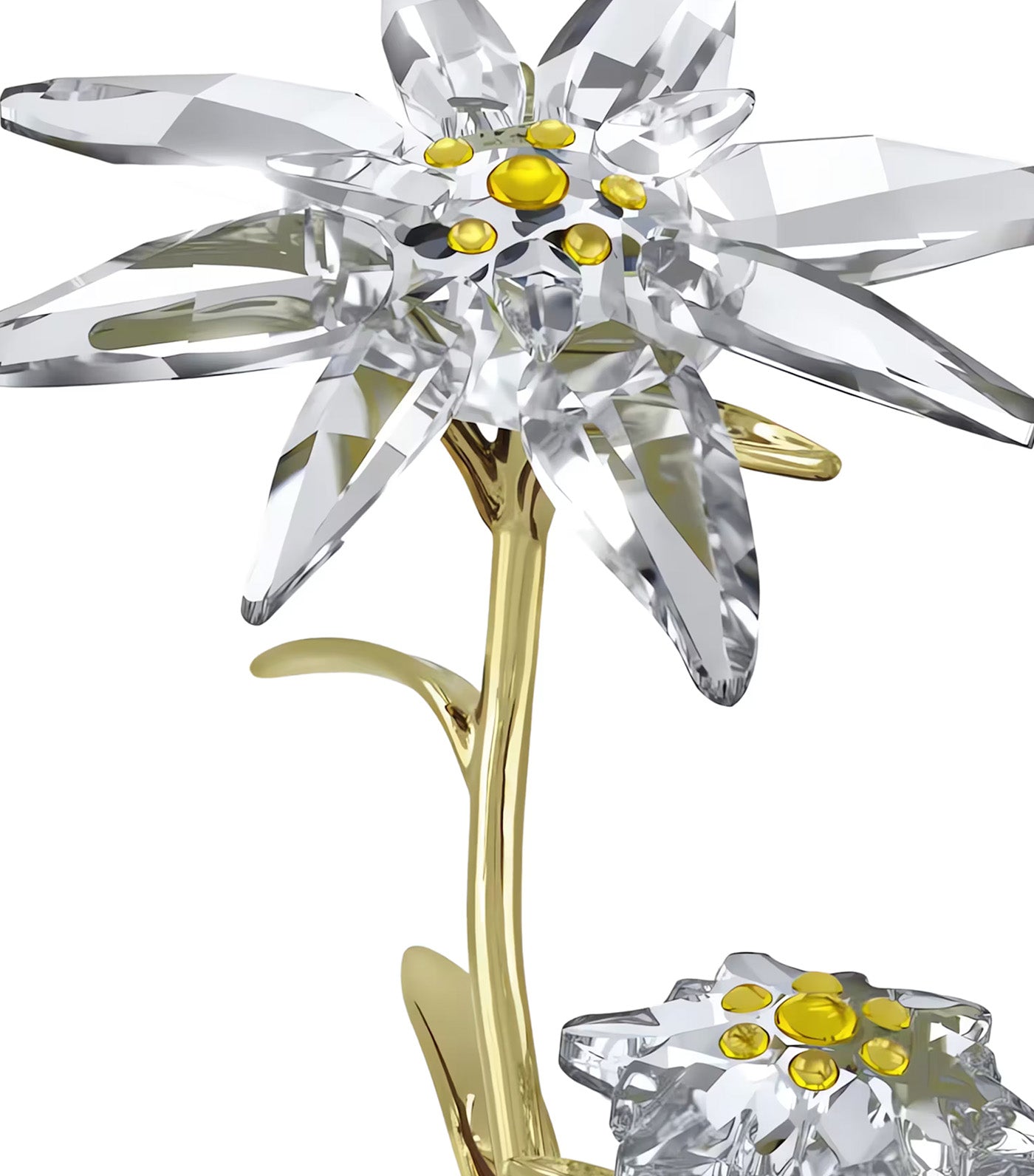 Florere 130th Anniversary Bell Jar Gold Tone