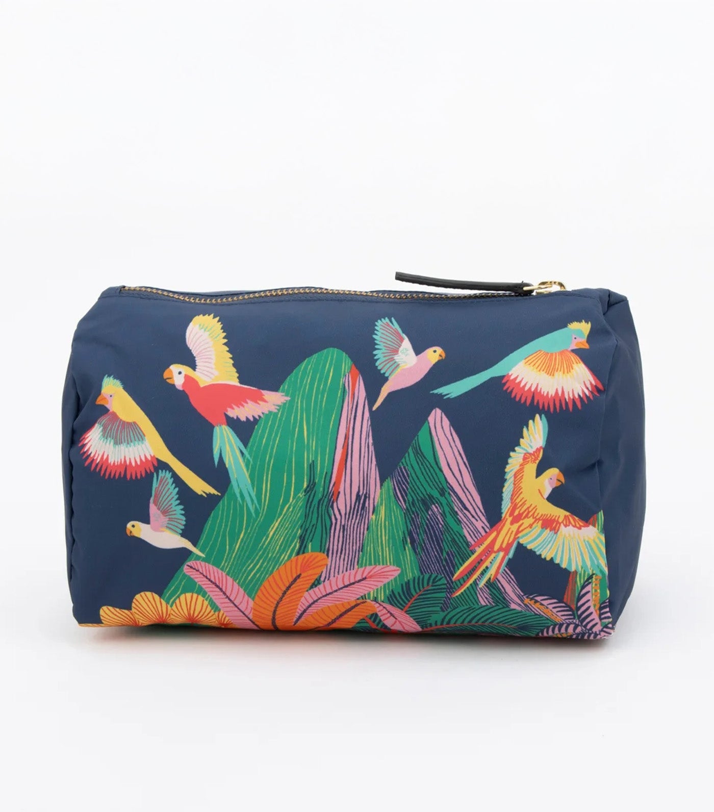 Rio Case - Multi-Colored