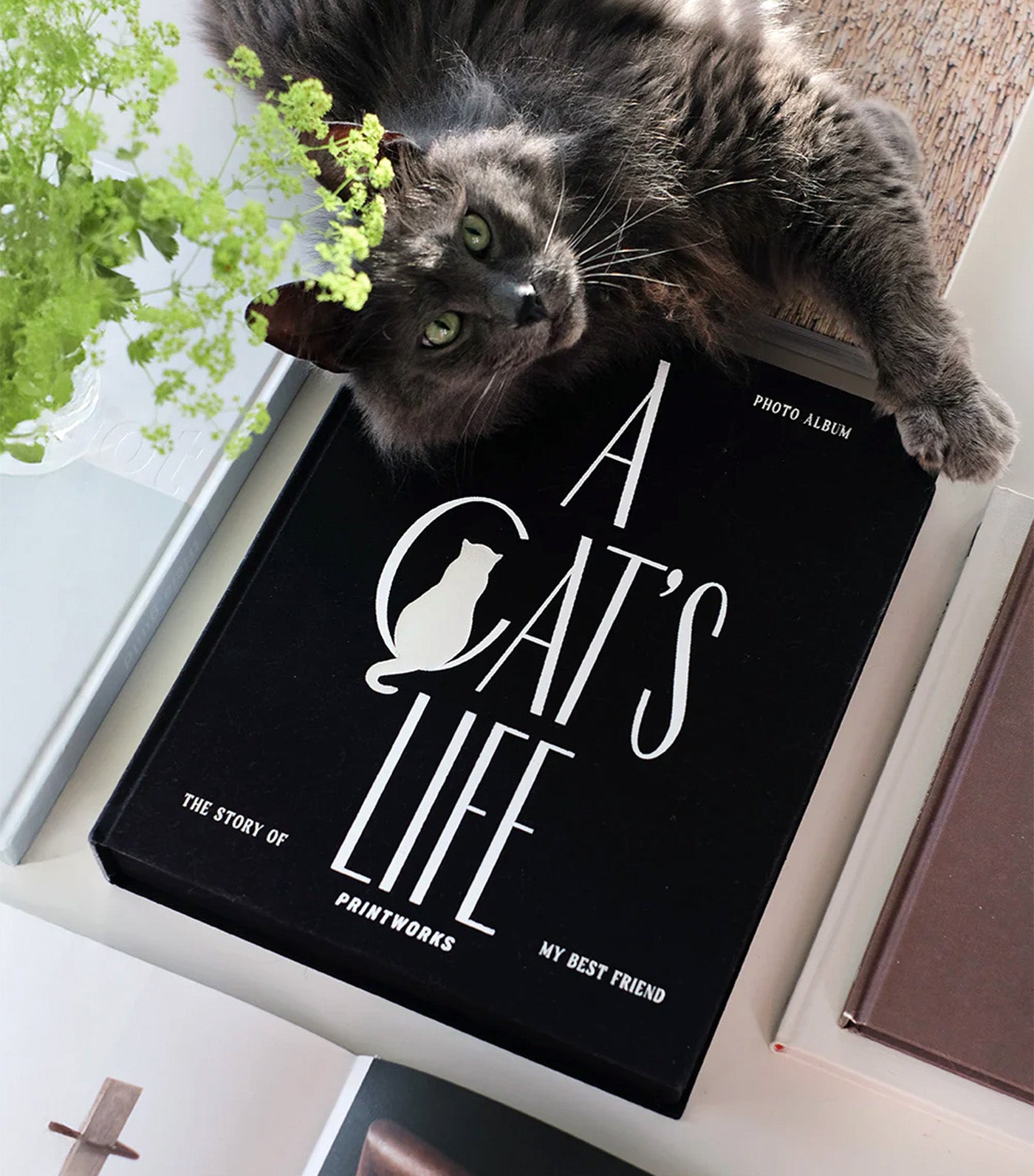 PRINTWORKS Cat Album - A Cat's Life