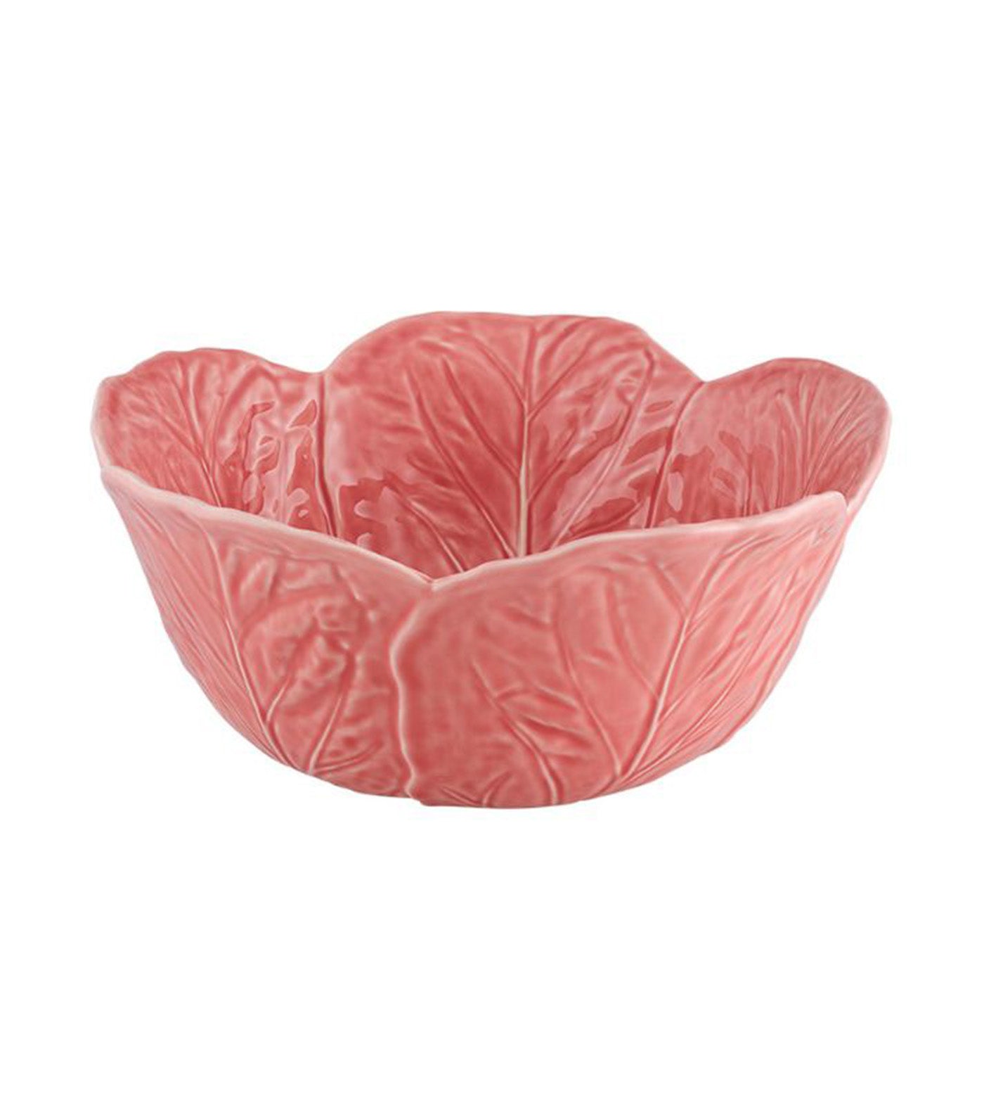 Cabbage Rosa Collection