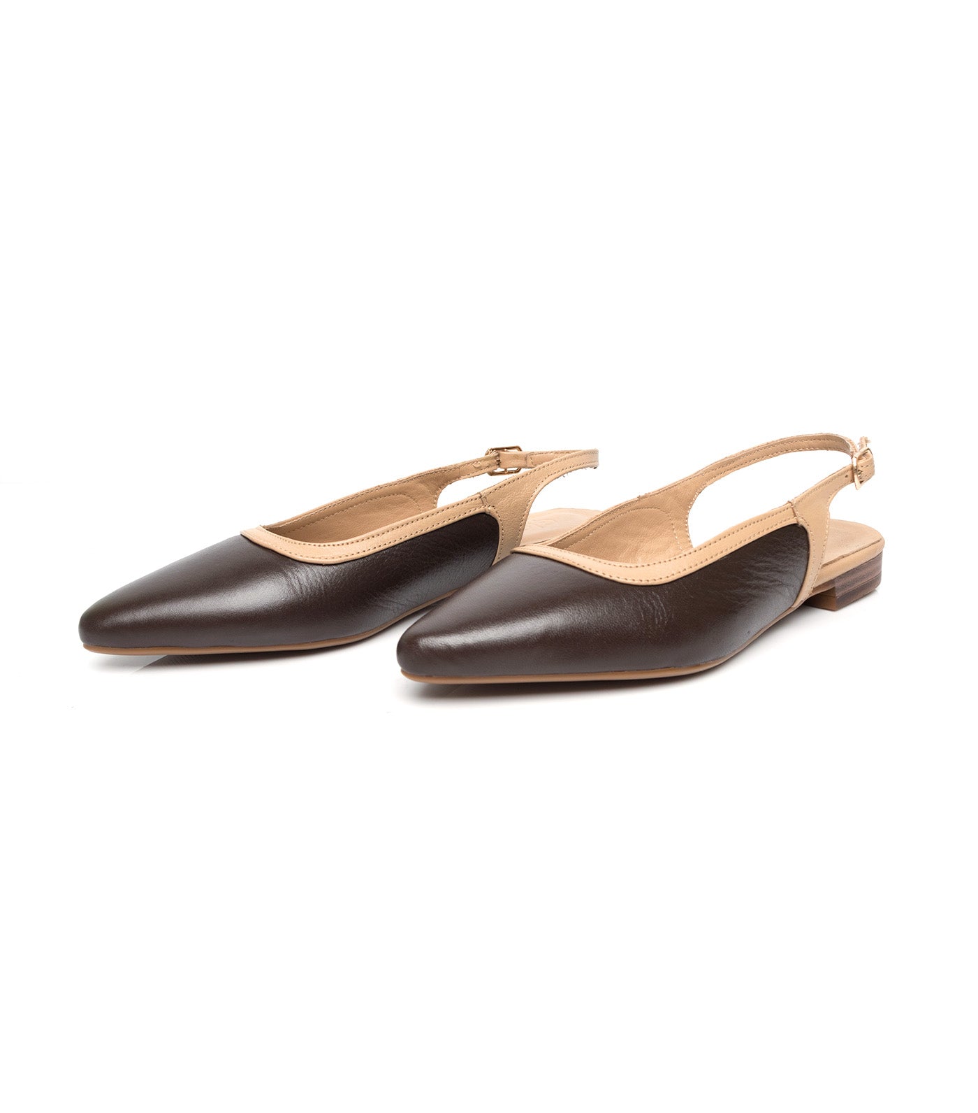 Pointed Slingbacks
