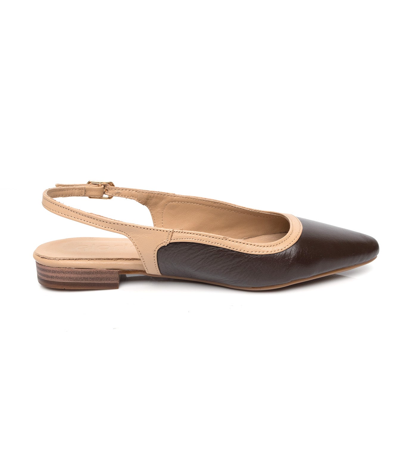 Pointed Slingbacks