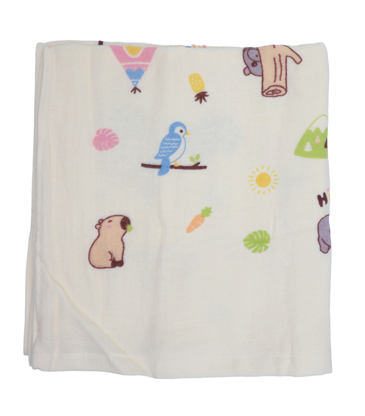 Printed Blanket Assorted