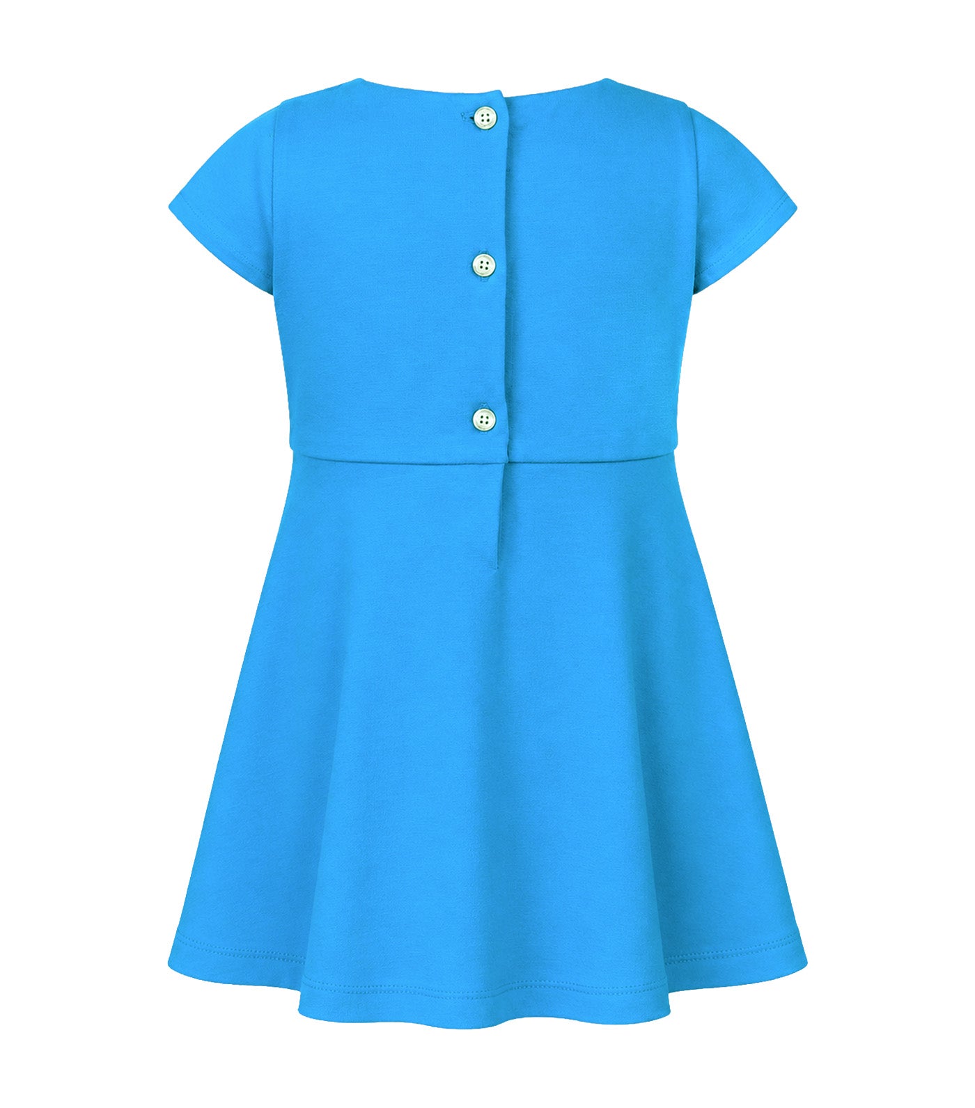 Harley Baby Girls Embroidered Dress Blue