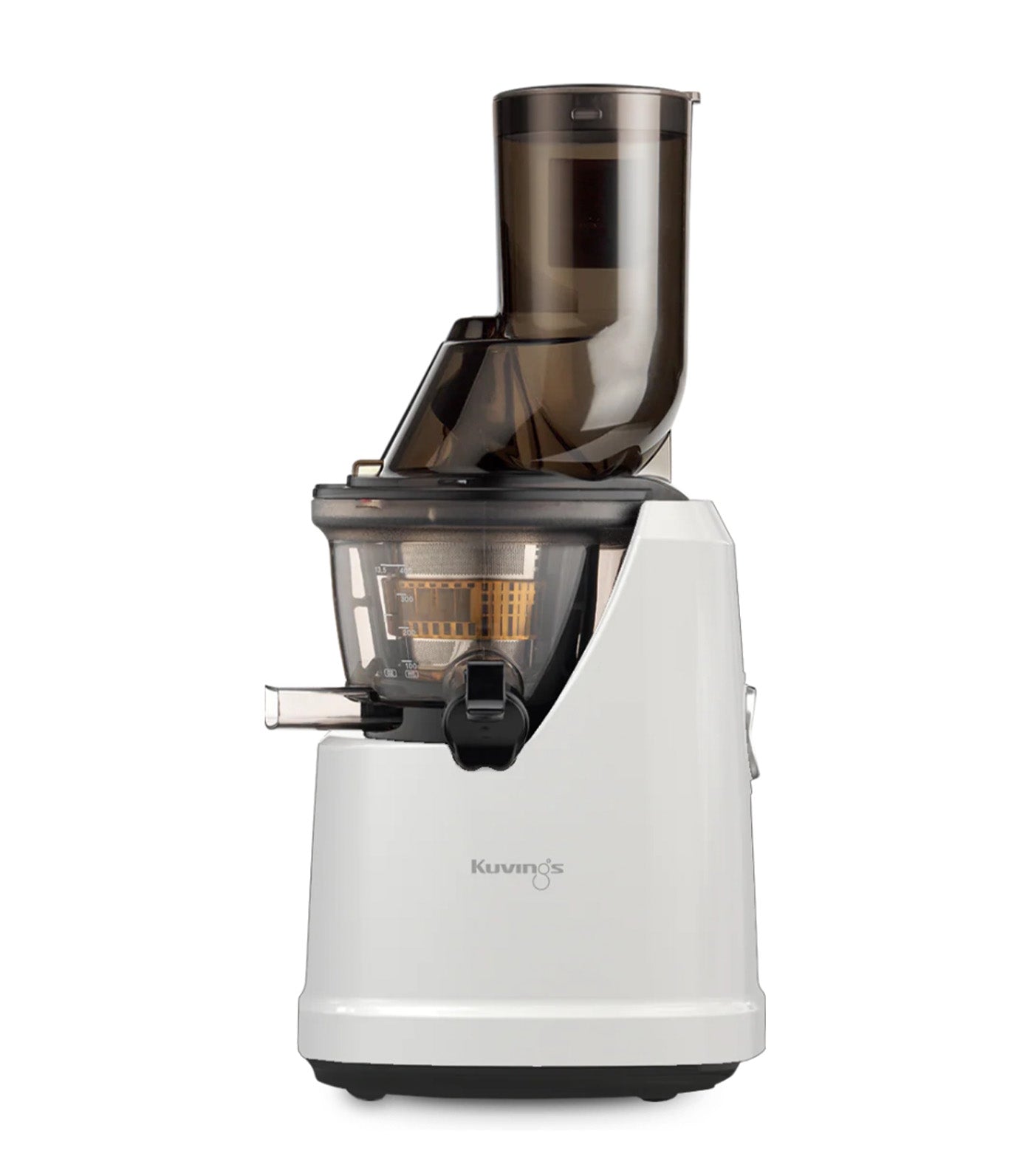 B1700 Slow Juicer