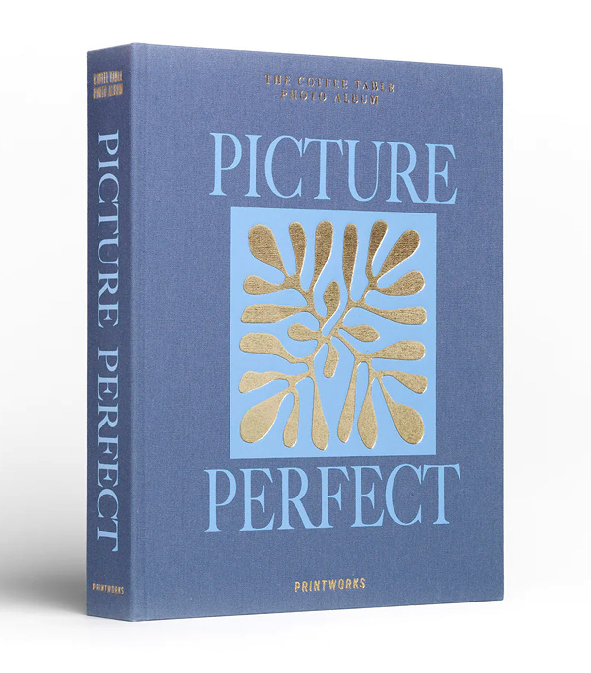 Photo Album - Picture Perfect