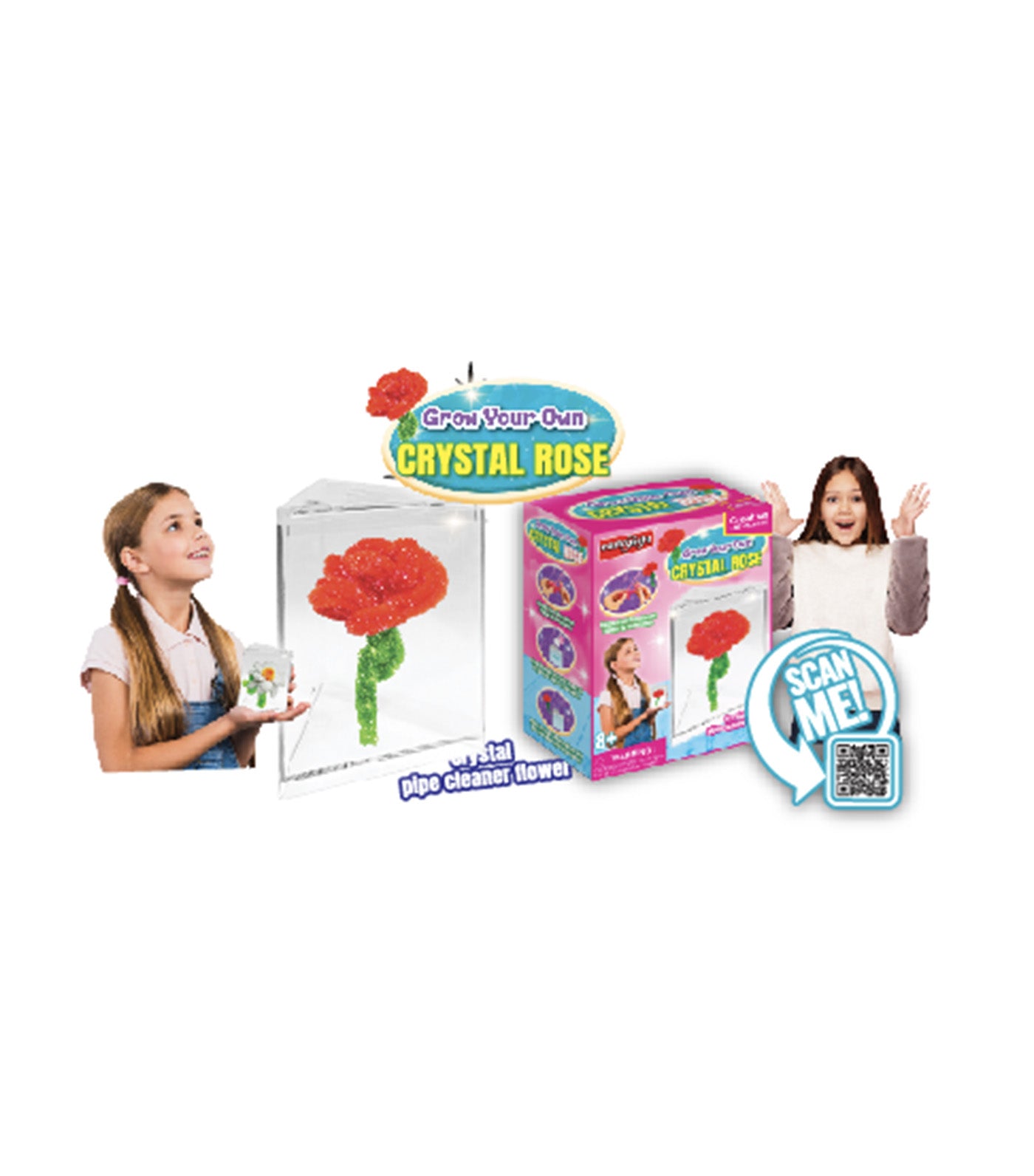 Grow Your Own Crystal Pipe Cleaner Flower