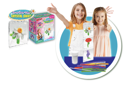 Grow Your Own Crystal Pipe Cleaner Flower