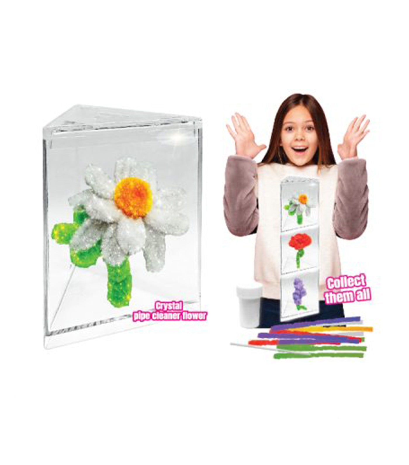 Grow Your Own Crystal Pipe Cleaner Flower