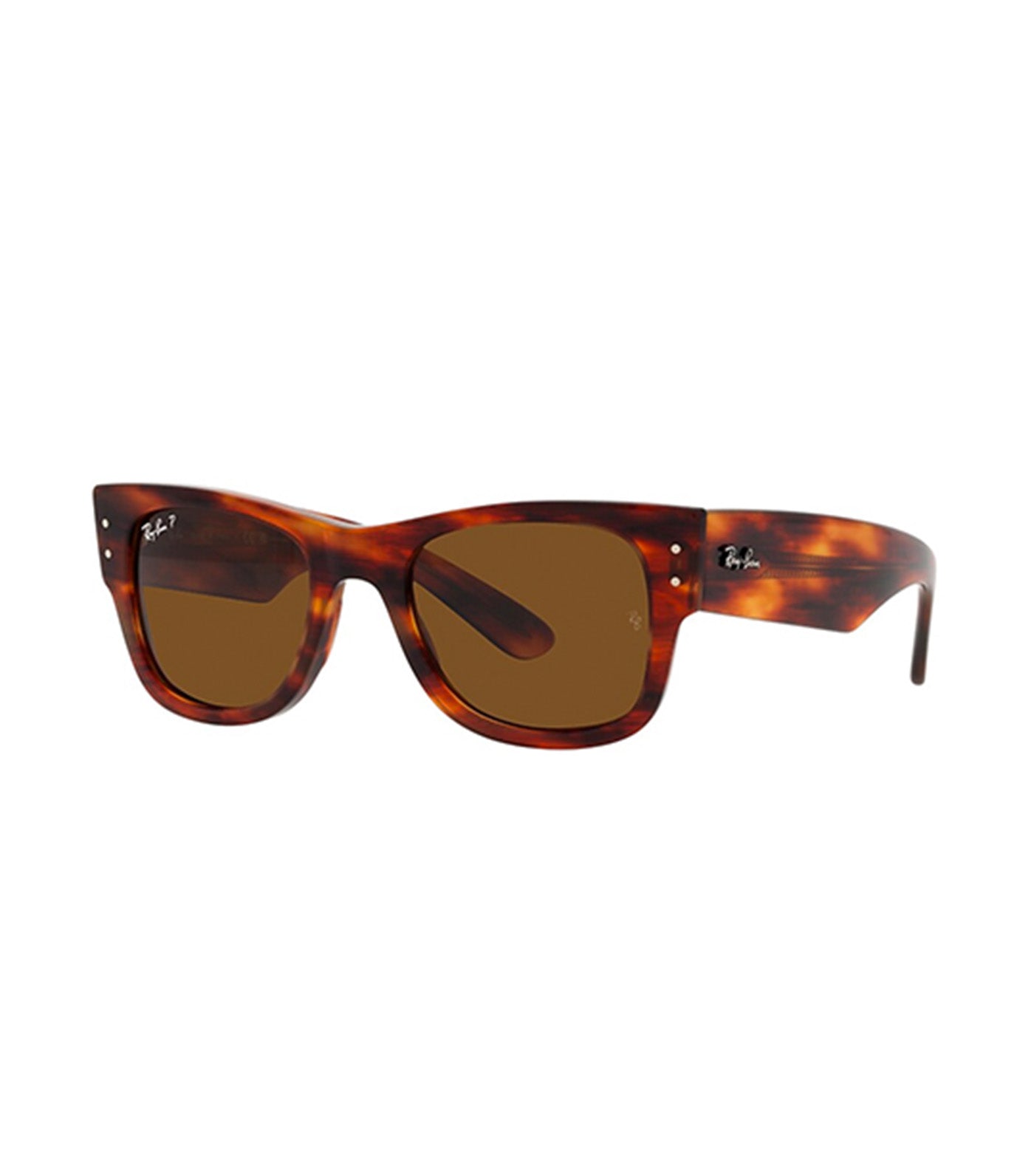 Ray ban tortoise store shell wayfarer sunglasses