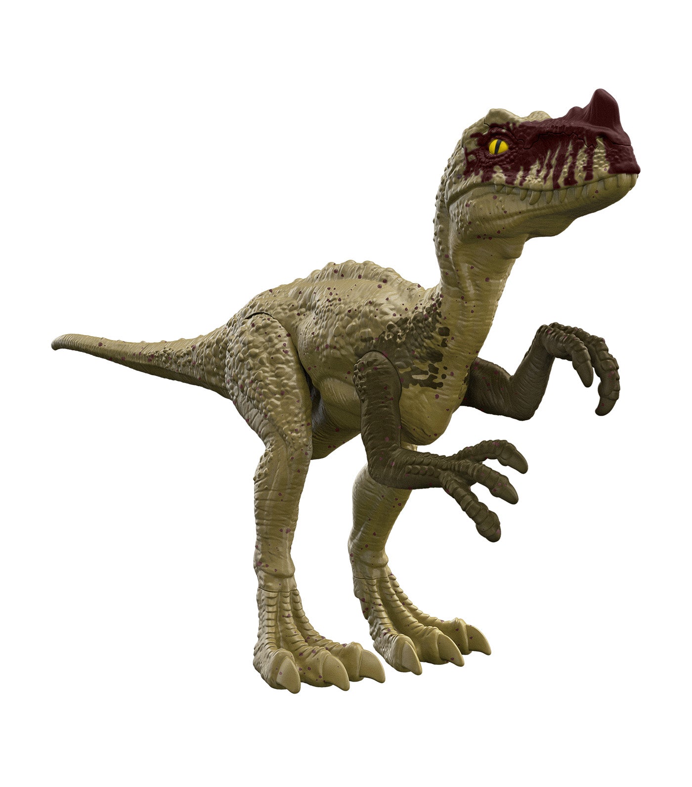 Procreatosaurus