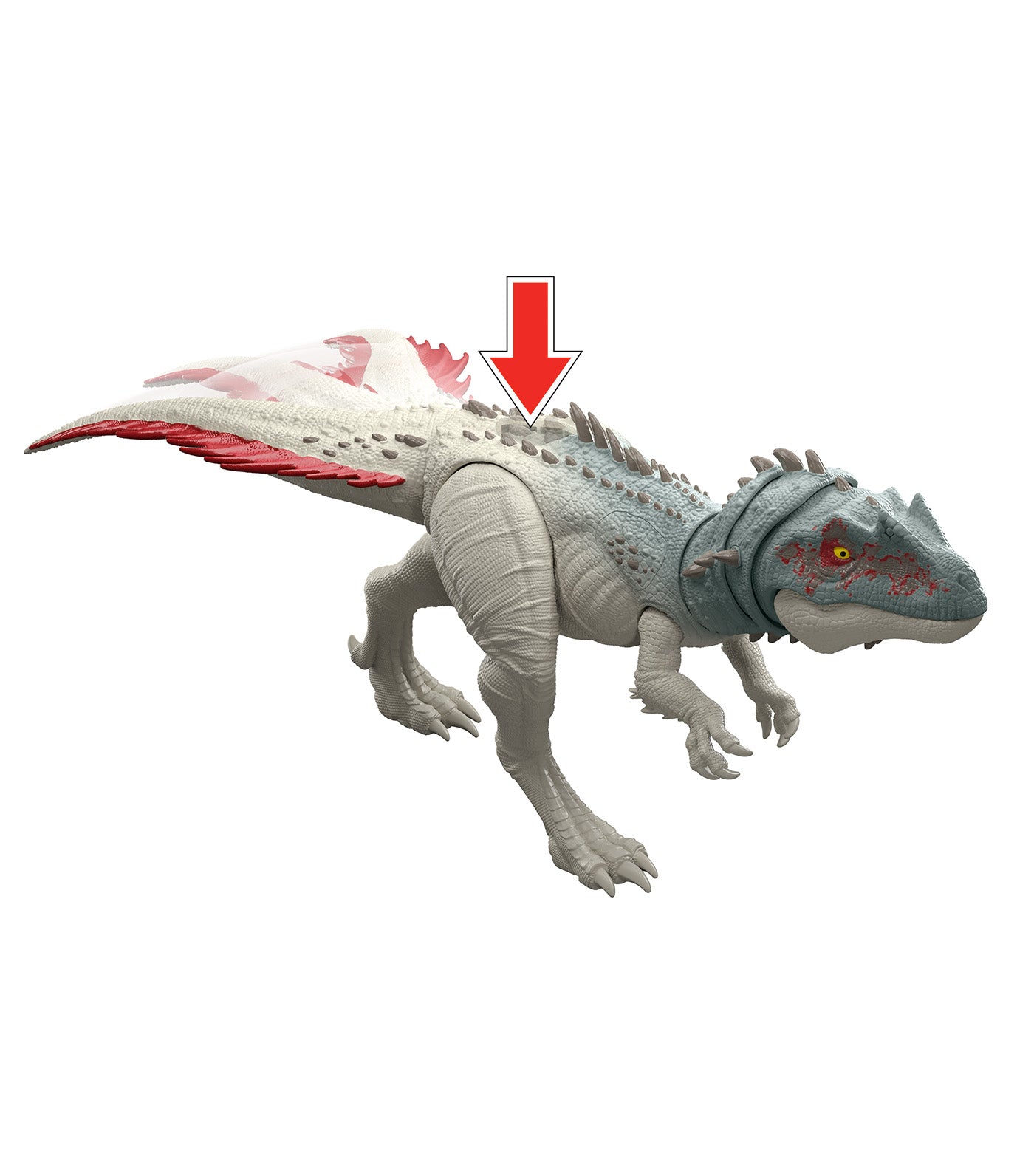 Gigantic Thrashers Torvosaurus