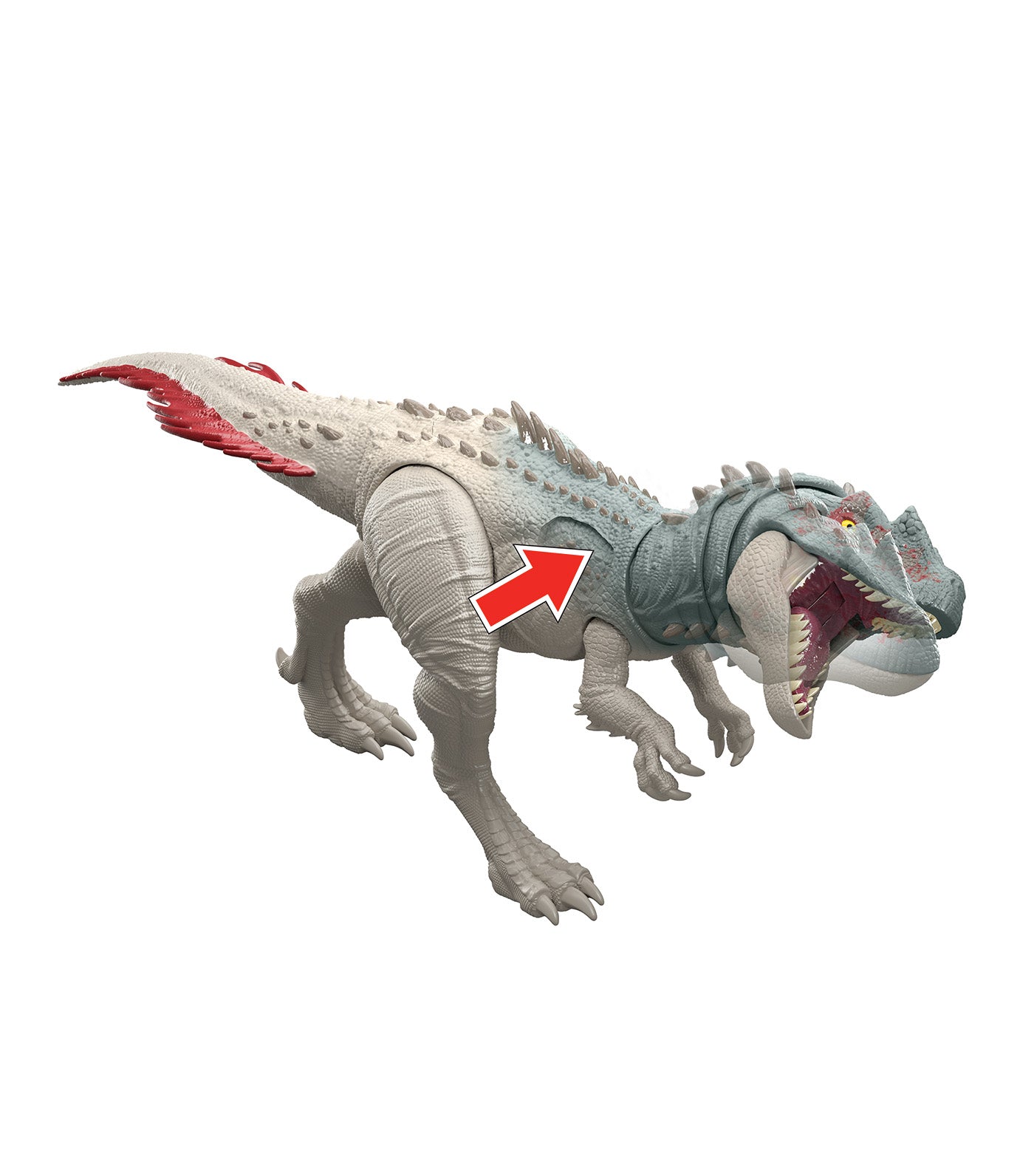 Gigantic Thrashers Torvosaurus
