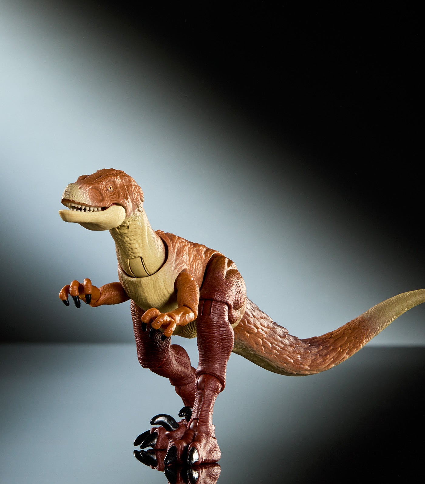Hammond Collection Ornitholestes