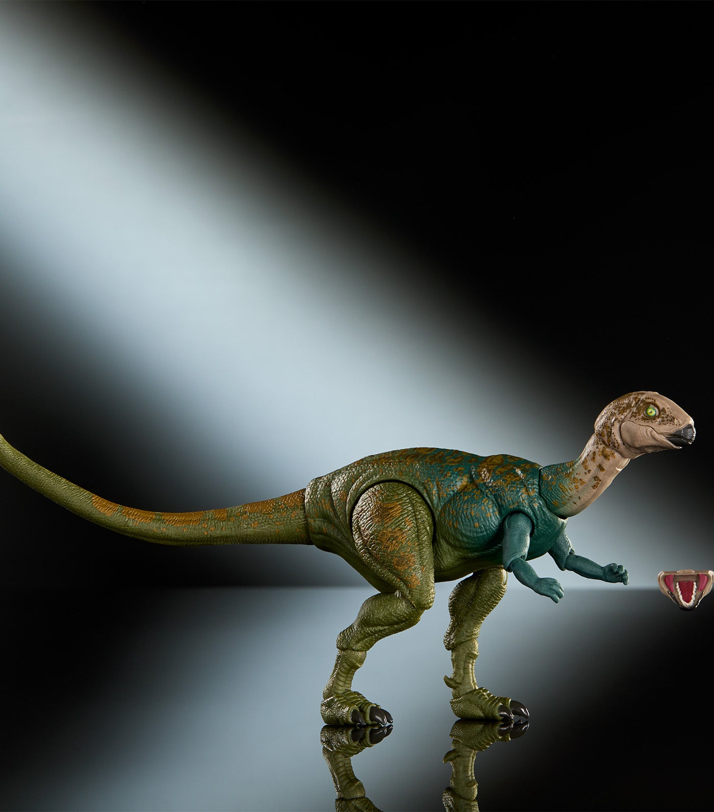 Hammond Collection Dryosaurus