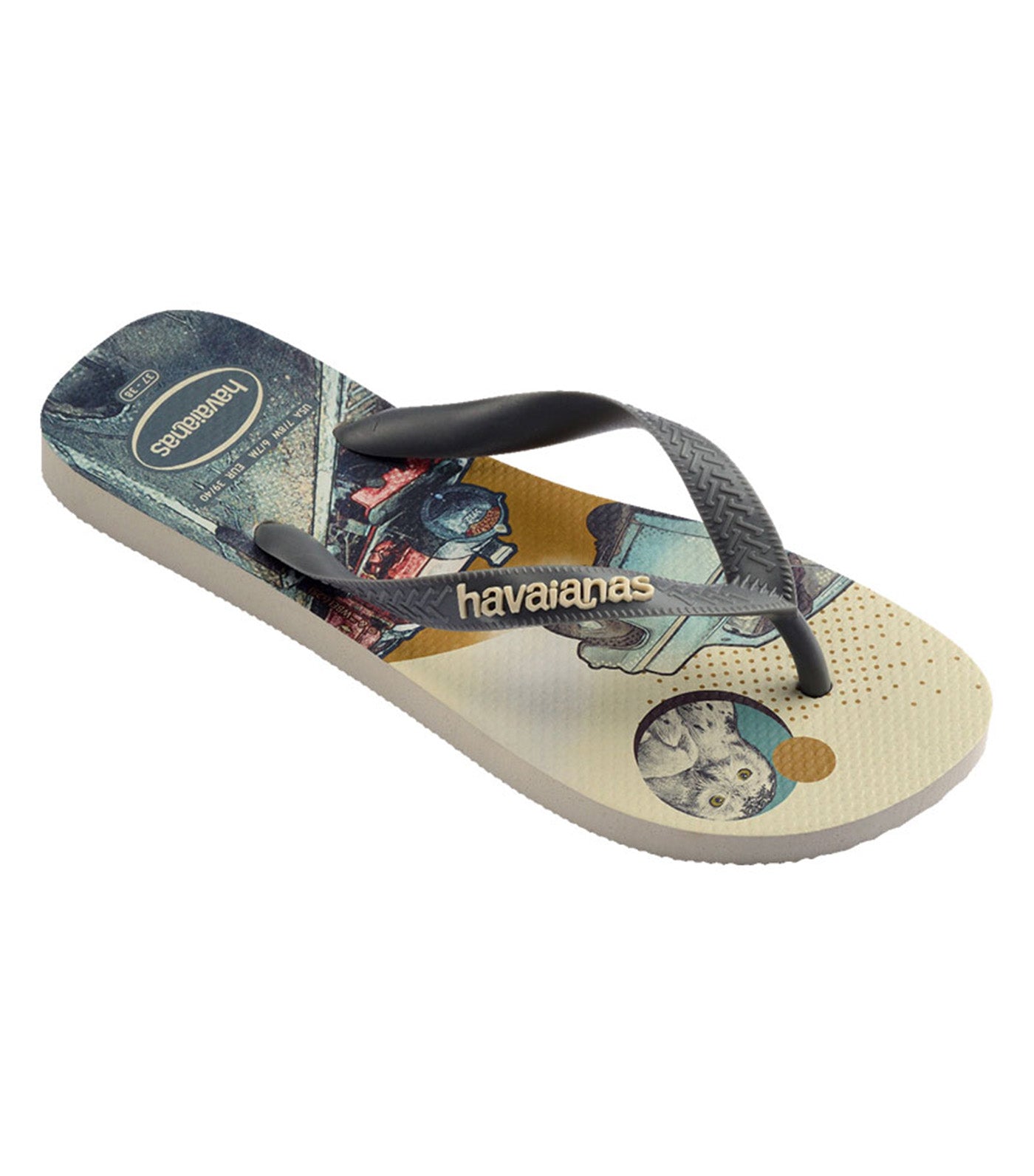 Harry Potter Flip Flops Beige/Gray Steel