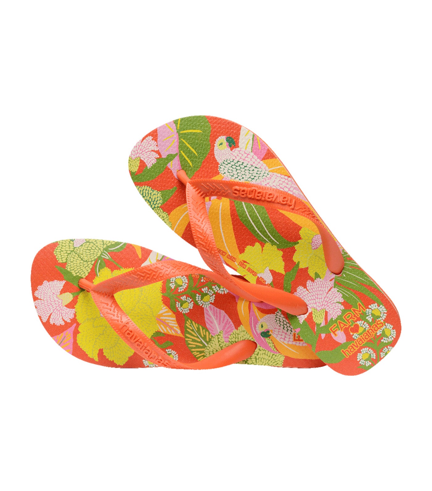 Farm Neon Flor Sunset Orange