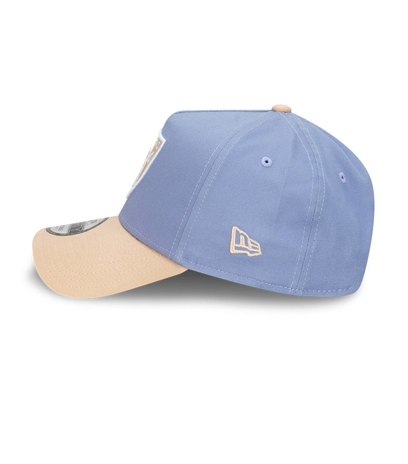 Las Vegas Raiders 9FORTY A-Frame Snapback Cap Blueberry Cream Iris Flower