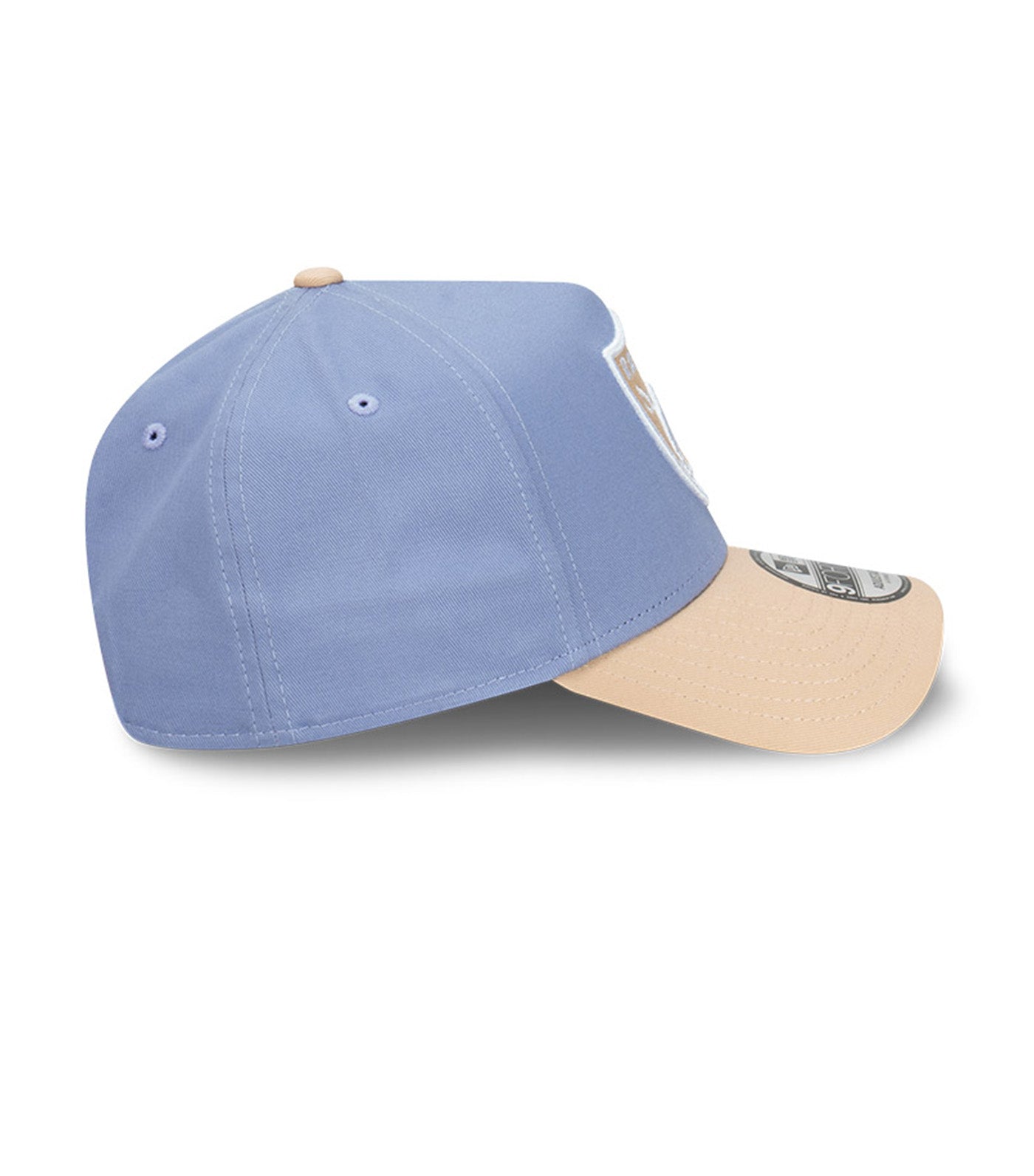 Las Vegas Raiders 9FORTY A-Frame Snapback Cap Blueberry Cream Iris Flower