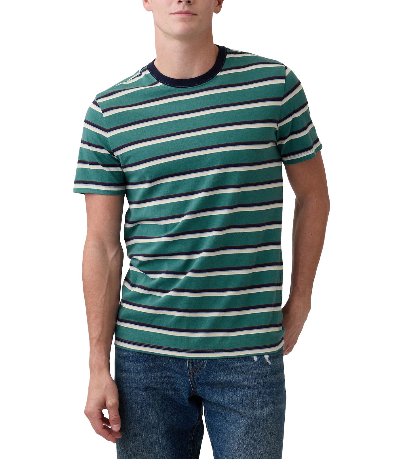 GAP Everyday Soft Stripe Crewneck T-Shirt Balsam Green
