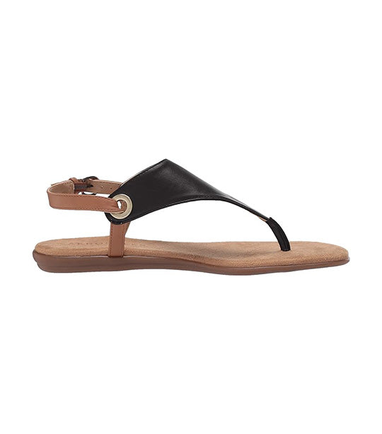 In Conchlusion Thong Sandals Black