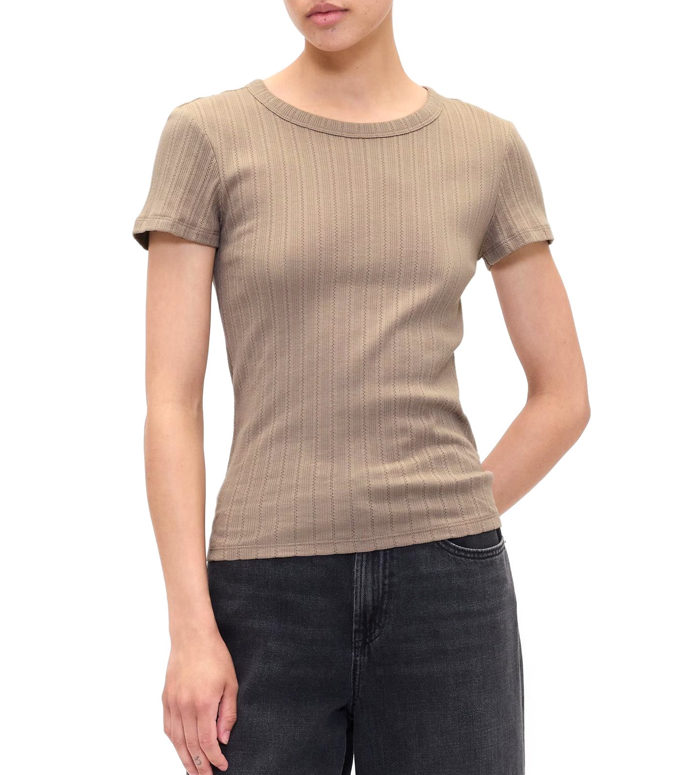 GAP Ribbed Pointelle Crewneck T-Shirt Medium Cool Brown
