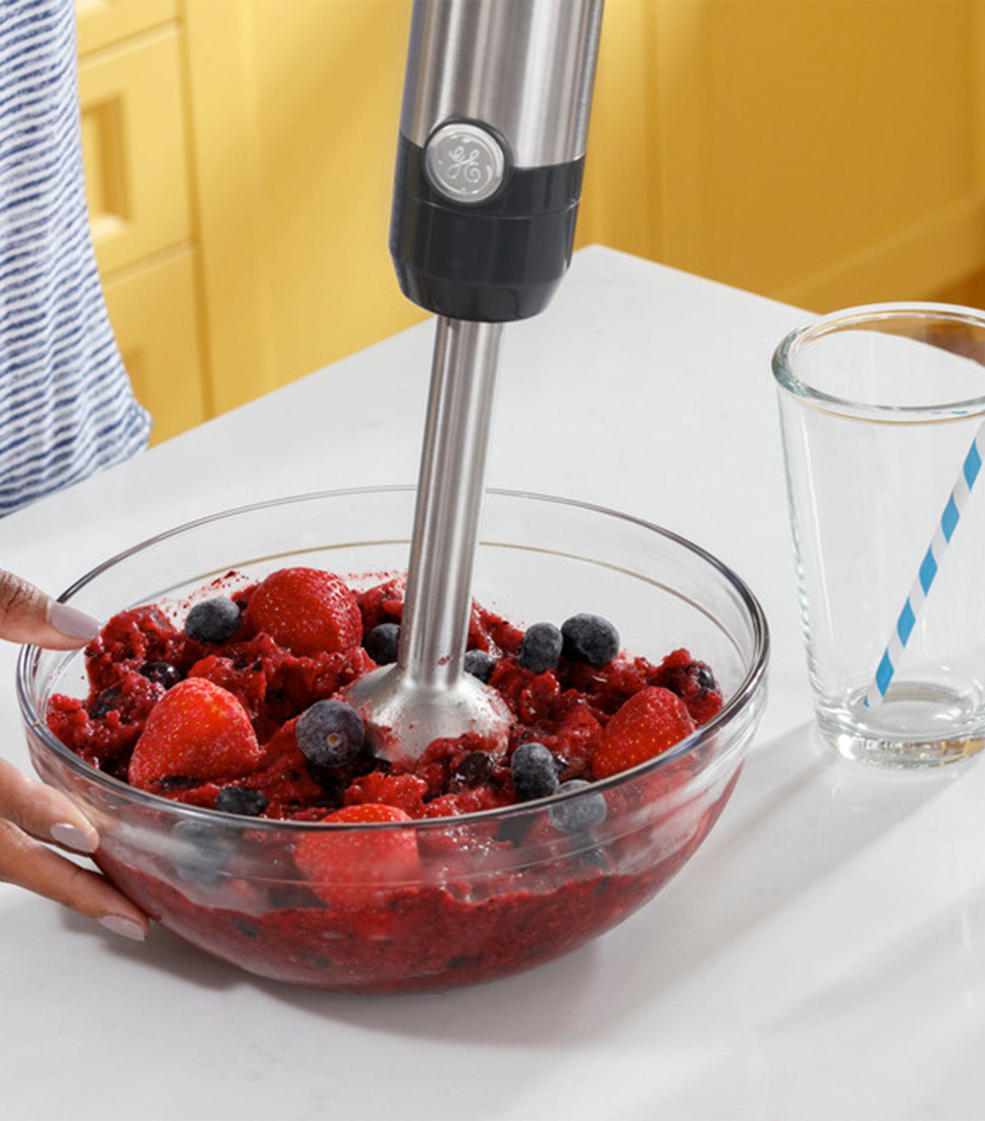 Immersion Hand Blender